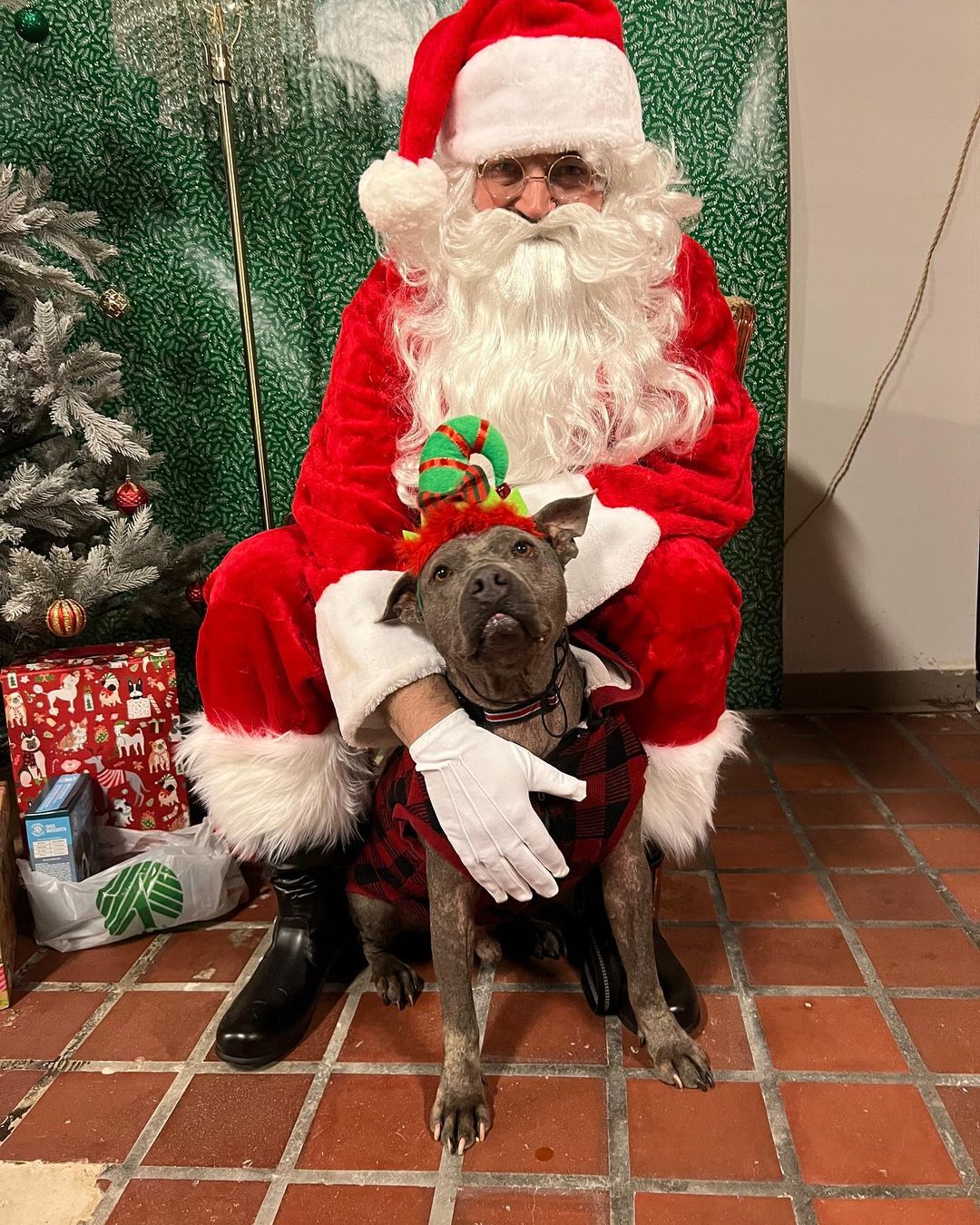 A huge thank you to everyone who came out to our PITures with Santa event on Thursday! We loved seeing all these amazing pups and kitties! <a target='_blank' href='https://www.instagram.com/explore/tags/applevalleypitcrew/'>#applevalleypitcrew</a>🐶🍎 <a target='_blank' href='https://www.instagram.com/explore/tags/AVPC/'>#AVPC</a> <a target='_blank' href='https://www.instagram.com/explore/tags/PitCrew/'>#PitCrew</a> <a target='_blank' href='https://www.instagram.com/explore/tags/pitbullsofinstagram/'>#pitbullsofinstagram</a> <a target='_blank' href='https://www.instagram.com/explore/tags/RescueandRedemption/'>#RescueandRedemption</a> <a target='_blank' href='https://www.instagram.com/explore/tags/adoptdontshop/'>#adoptdontshop</a> <a target='_blank' href='https://www.instagram.com/explore/tags/pitbullove/'>#pitbullove</a> <a target='_blank' href='https://www.instagram.com/explore/tags/pitbull/'>#pitbull</a> <a target='_blank' href='https://www.instagram.com/explore/tags/spreadtherumer/'>#spreadtherumer</a> <a target='_blank' href='https://www.instagram.com/explore/tags/rescueismyfavoritebreed/'>#rescueismyfavoritebreed</a> <a target='_blank' href='https://www.instagram.com/explore/tags/dontbullymybreed/'>#dontbullymybreed</a> <a target='_blank' href='https://www.instagram.com/explore/tags/thecrew/'>#thecrew</a>