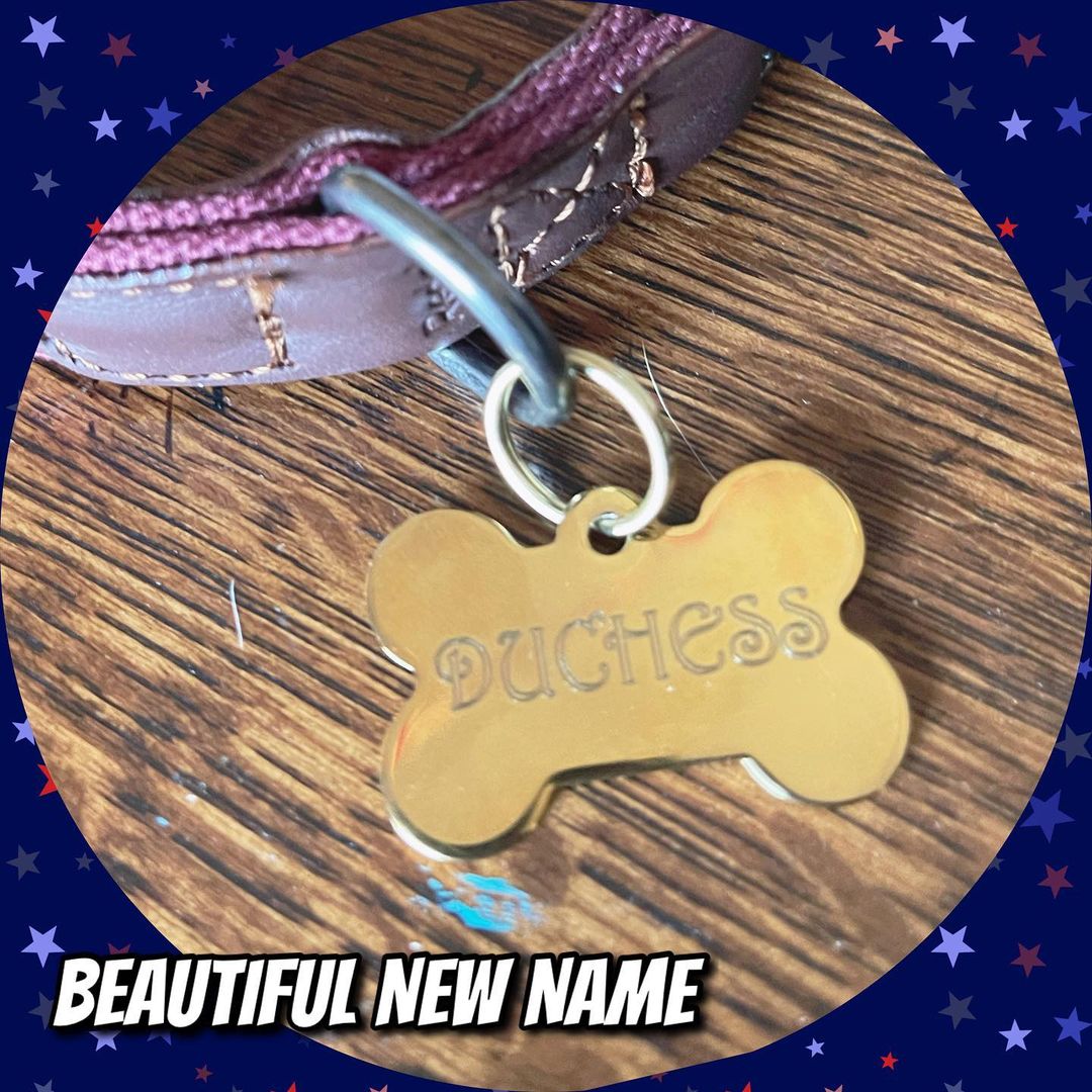 ⠀
Oh Happy day! Our Shero Michele (now Duchess) earned her superhero cape and got adopted!
⠀
She now has kitty & doggie siblings who are thrilled to welcome her home. She immediately acclimated and became a Daddy’s girl!
⠀
We are extremely happy for her and her new amazing family!
⠀
A special thank you to her Foster Family for the love & nurturing they gave her. This happy day was made possible because of their gesture to help…
⠀
<a target='_blank' href='https://www.instagram.com/explore/tags/jointhescars/'>#jointhescars</a> <a target='_blank' href='https://www.instagram.com/explore/tags/adoptdontshop/'>#adoptdontshop</a> <a target='_blank' href='https://www.instagram.com/explore/tags/heroeshelpingheroes/'>#heroeshelpingheroes</a> <a target='_blank' href='https://www.instagram.com/explore/tags/fosterssavelives/'>#fosterssavelives</a> <a target='_blank' href='https://www.instagram.com/explore/tags/fosteringsaveslives/'>#fosteringsaveslives</a> <a target='_blank' href='https://www.instagram.com/explore/tags/rescuedog/'>#rescuedog</a>