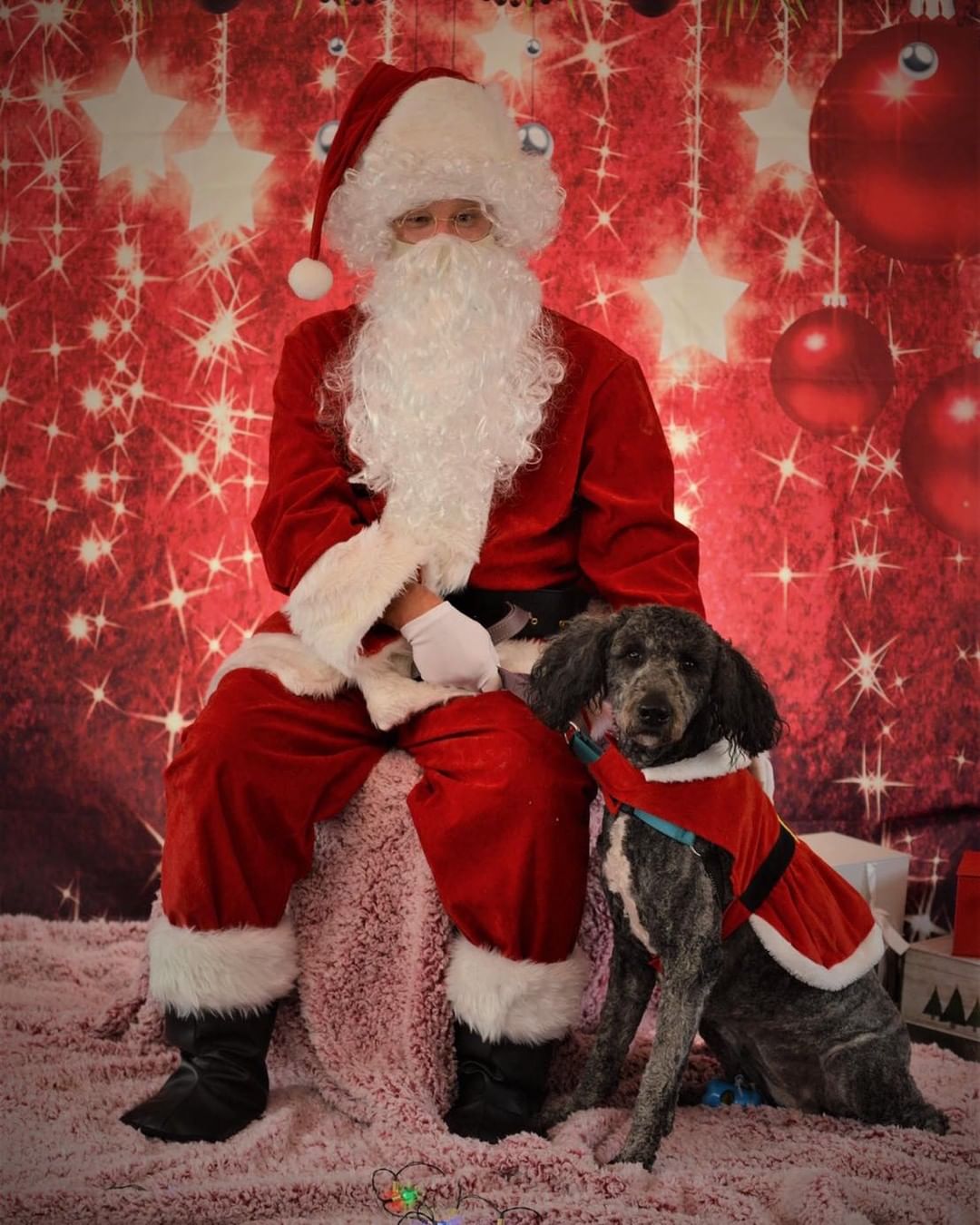 Picture Your Pets with Santa or Grinch!

When: December 11th, 2021 Noon-6pm

Where: Wick’s on Baxter 975 Baxter Ave. Louisville, KY 40204

It’s that time again!

This year we are getting both characters in on 1 day! You select Santa, Grinch, or Both!

$10 each or $15 for both.

Fat Heads Merch will be available at this event.

Reserve your spot now!

Fatheads.org/photos