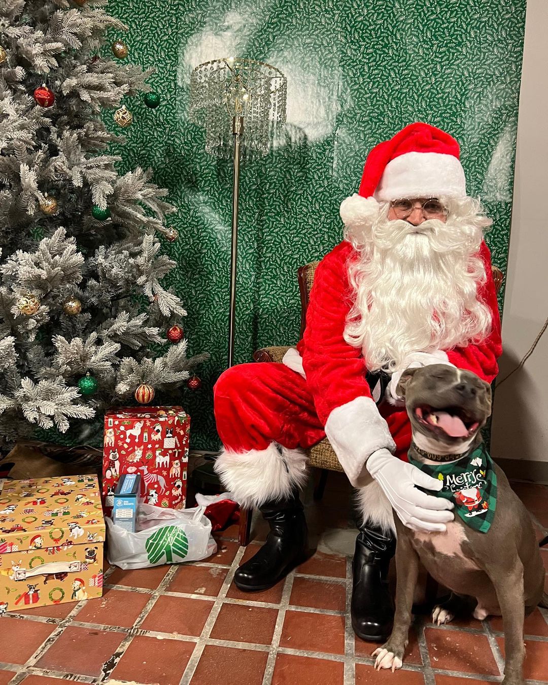 A huge thank you to everyone who came out to our PITures with Santa event on Thursday! We loved seeing all these amazing pups and kitties! <a target='_blank' href='https://www.instagram.com/explore/tags/applevalleypitcrew/'>#applevalleypitcrew</a>🐶🍎 <a target='_blank' href='https://www.instagram.com/explore/tags/AVPC/'>#AVPC</a> <a target='_blank' href='https://www.instagram.com/explore/tags/PitCrew/'>#PitCrew</a> <a target='_blank' href='https://www.instagram.com/explore/tags/pitbullsofinstagram/'>#pitbullsofinstagram</a> <a target='_blank' href='https://www.instagram.com/explore/tags/RescueandRedemption/'>#RescueandRedemption</a> <a target='_blank' href='https://www.instagram.com/explore/tags/adoptdontshop/'>#adoptdontshop</a> <a target='_blank' href='https://www.instagram.com/explore/tags/pitbullove/'>#pitbullove</a> <a target='_blank' href='https://www.instagram.com/explore/tags/pitbull/'>#pitbull</a> <a target='_blank' href='https://www.instagram.com/explore/tags/spreadtherumer/'>#spreadtherumer</a> <a target='_blank' href='https://www.instagram.com/explore/tags/rescueismyfavoritebreed/'>#rescueismyfavoritebreed</a> <a target='_blank' href='https://www.instagram.com/explore/tags/dontbullymybreed/'>#dontbullymybreed</a> <a target='_blank' href='https://www.instagram.com/explore/tags/thecrew/'>#thecrew</a>