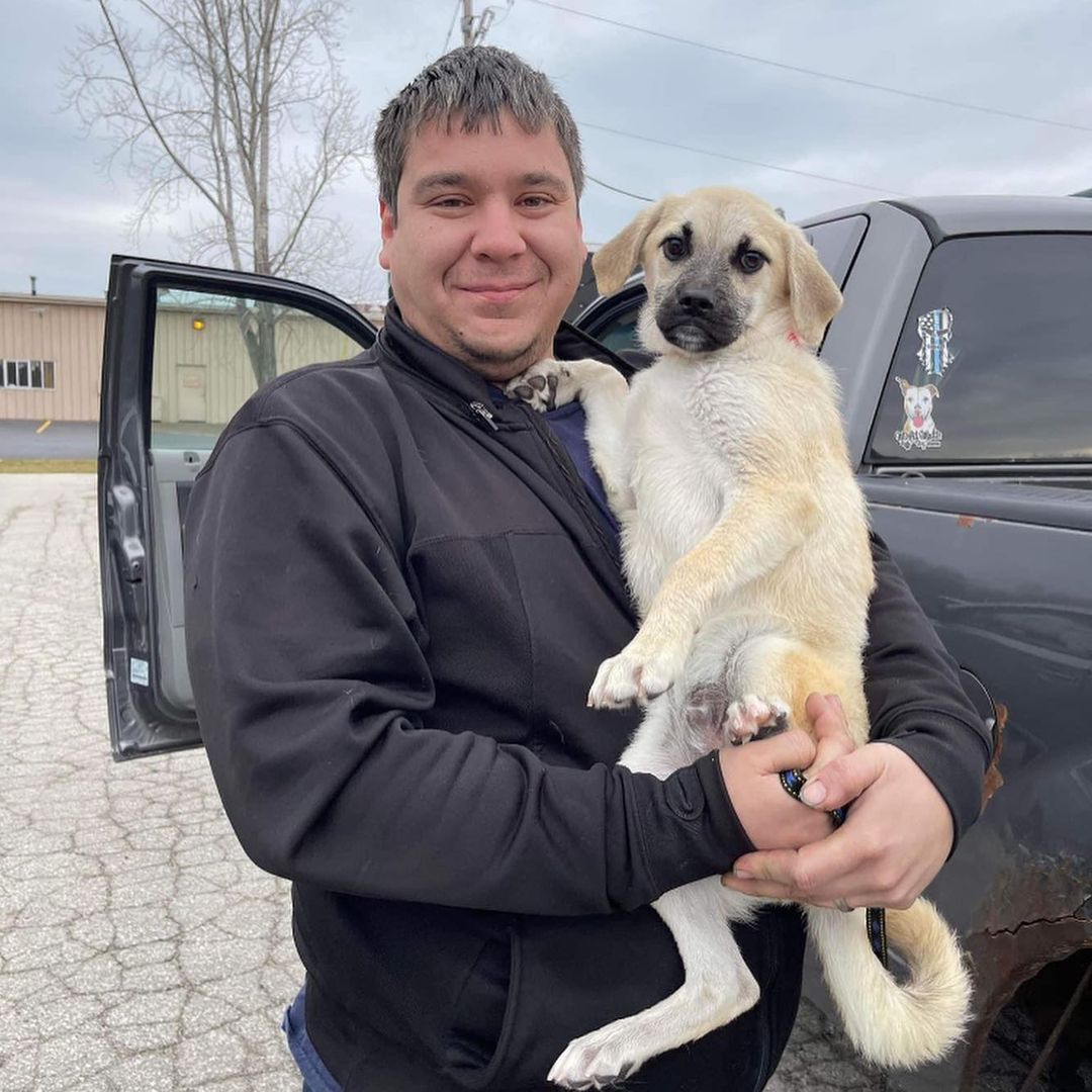That’s a wrap! ❤️⁣
⁣
Today was our last intake of 2021. We welcomed 17 happy pups bright and early this morning from our friends at ThisIsHouston, Lola's Lucky Day, Jamie's Animal Rescue, and Angleton Animal Services Adoption Center. Everyone did so good on transport, and they are all winding down for the night in their foster homes. There are so many things that go on behind the scenes to make transport happen, and we would like to sincerely thank everyone who plays a role in making sure this precious cargo gets to us safely. Also, shout out to our amazing fosters! We are so grateful for each and every one of you. These dogs are troopers and we can’t wait to introduce them to all of your in the upcoming weeks! ⁣
⁣
We will be taking a short break (is that even a thing? 😜) for the month of December while we focus on finding all the dogs in our care their forever homes. We are already looking forward to the new year, and welcoming the next batch of Misfits to Wisconsin! 🥰⁣
⁣
<a target='_blank' href='https://www.instagram.com/explore/tags/misfitmuttsdogrescue/'>#misfitmuttsdogrescue</a> <a target='_blank' href='https://www.instagram.com/explore/tags/transportday/'>#transportday</a> <a target='_blank' href='https://www.instagram.com/explore/tags/rescuedogsofinstagram/'>#rescuedogsofinstagram</a> <a target='_blank' href='https://www.instagram.com/explore/tags/adoptdontshop/'>#adoptdontshop</a> <a target='_blank' href='https://www.instagram.com/explore/tags/greenbay/'>#greenbay</a> <a target='_blank' href='https://www.instagram.com/explore/tags/wisconsin/'>#wisconsin</a>