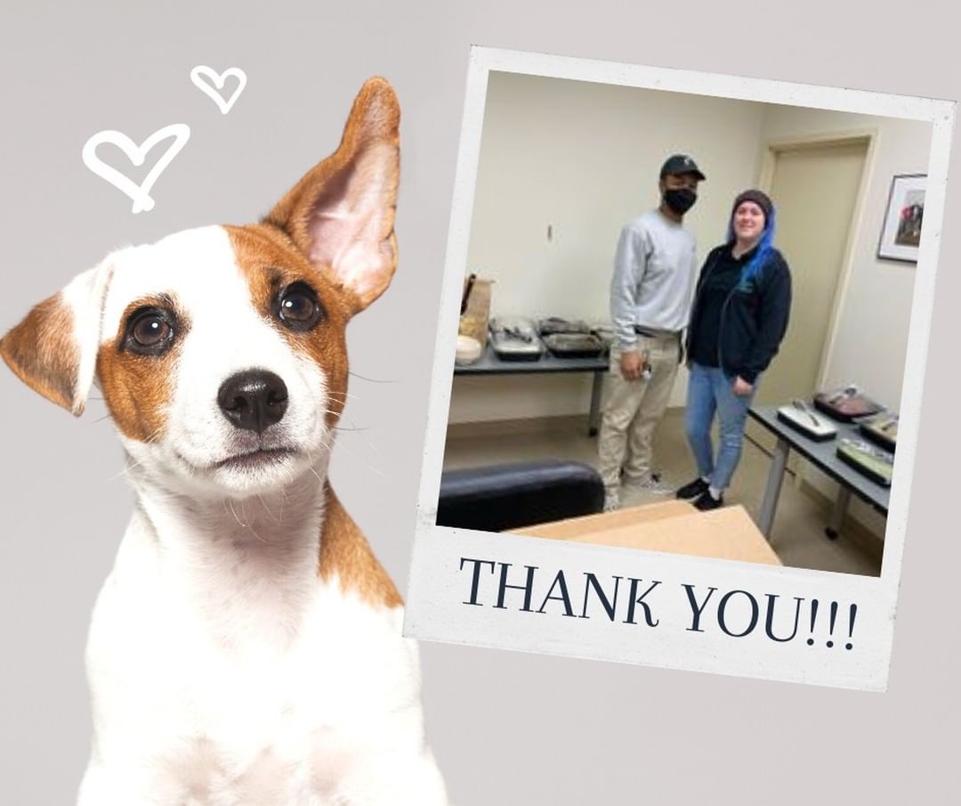 🙌🐱Thankful Thursday🐶🙌 
Thank you so much to Pet Supplies Plus – Hamilton OH and Chipotle South Hamilton for providing our staff with lunch last Saturday to celebrate the end of National Animal Shelter Appreciation Week! This delicious thank you certainly brightened our staff’s day! 

We also wanted to give a shout out to our staff and volunteers for all of their hard work over the past several months! We continue to see high numbers of dog and cat intakes within our facility and our staff and volunteers have stepped up to lend helping hands to one another to make sure these animals still receive proper care! If you are interested in becoming part of the lifesaving work happening at Animal Friends check out how to become a volunteer (https://www.animalfriendshs.org/ways-to-help/volunteer/) and our current employment opportunities (https://www.animalfriendshs.org/about-us/employment-opportunities/)!