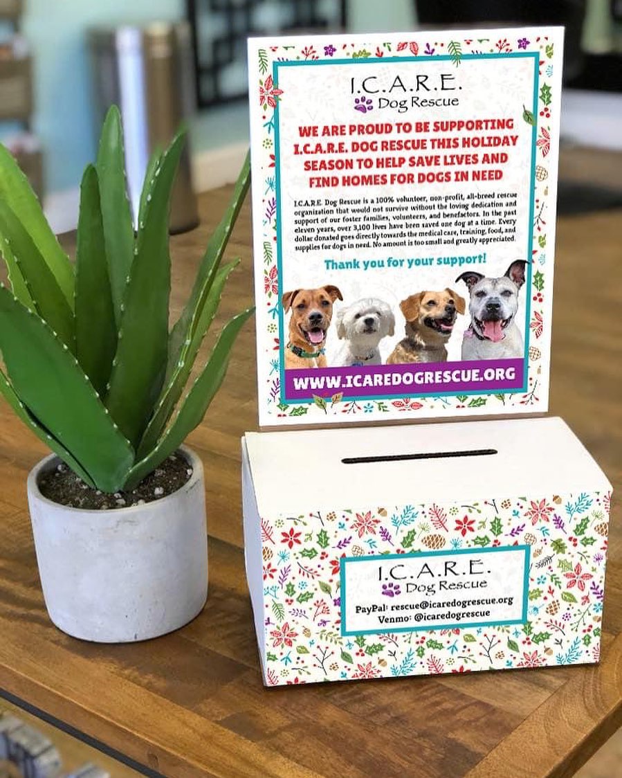 ⛄️ CALLING ALL SUPPORTERS ⛄️ For the holiday season we like to get our holiday donation boxes displayed in as many local businesses as possible to help raise awareness and funds for our rescue. If you have a business in OC or Riverside County that would like to support us, please reach out and we will get a box delivered to you soon. Thank you so much!

Email: marketing@icaredogrescue.org