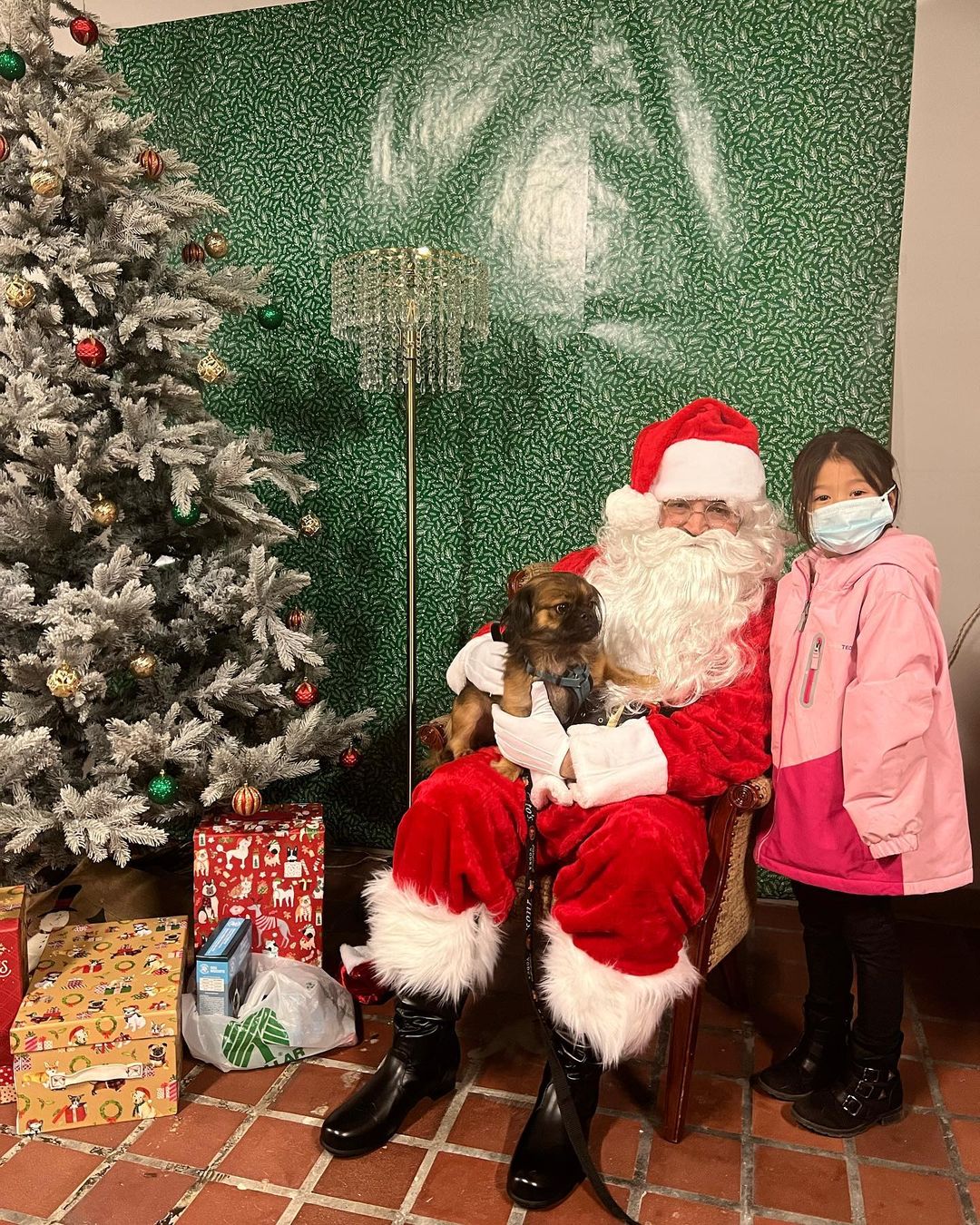 A huge thank you to everyone who came out to our PITures with Santa event on Thursday! We loved seeing all these amazing pups and kitties! <a target='_blank' href='https://www.instagram.com/explore/tags/applevalleypitcrew/'>#applevalleypitcrew</a>🐶🍎 <a target='_blank' href='https://www.instagram.com/explore/tags/AVPC/'>#AVPC</a> <a target='_blank' href='https://www.instagram.com/explore/tags/PitCrew/'>#PitCrew</a> <a target='_blank' href='https://www.instagram.com/explore/tags/pitbullsofinstagram/'>#pitbullsofinstagram</a> <a target='_blank' href='https://www.instagram.com/explore/tags/RescueandRedemption/'>#RescueandRedemption</a> <a target='_blank' href='https://www.instagram.com/explore/tags/adoptdontshop/'>#adoptdontshop</a> <a target='_blank' href='https://www.instagram.com/explore/tags/pitbullove/'>#pitbullove</a> <a target='_blank' href='https://www.instagram.com/explore/tags/pitbull/'>#pitbull</a> <a target='_blank' href='https://www.instagram.com/explore/tags/spreadtherumer/'>#spreadtherumer</a> <a target='_blank' href='https://www.instagram.com/explore/tags/rescueismyfavoritebreed/'>#rescueismyfavoritebreed</a> <a target='_blank' href='https://www.instagram.com/explore/tags/dontbullymybreed/'>#dontbullymybreed</a> <a target='_blank' href='https://www.instagram.com/explore/tags/thecrew/'>#thecrew</a>