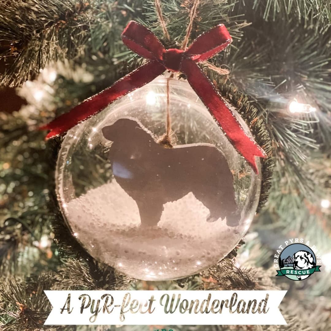 Tis the season to celebrate your Pyr🐶! Back by popular demand, our personalized ornaments are now available! This year's theme is 