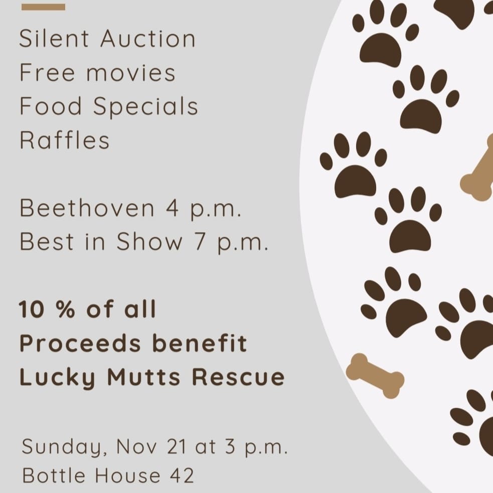 Join is TOMORROW at Bottle House 42 for a fun Sunday fundraiser!