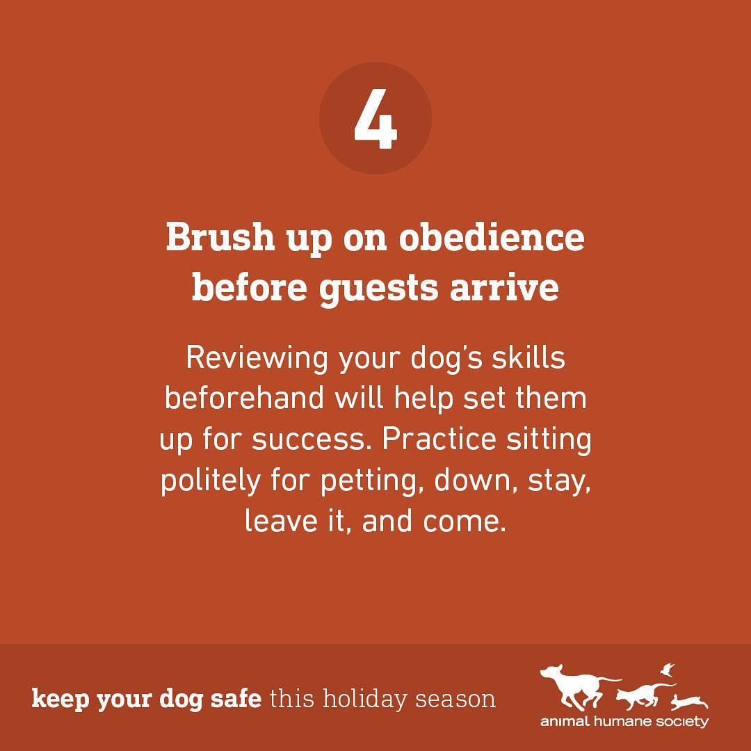 The holidays are here! ❄️ With these pointers, your dog and guests are sure to have a safe and happy season. 🐶