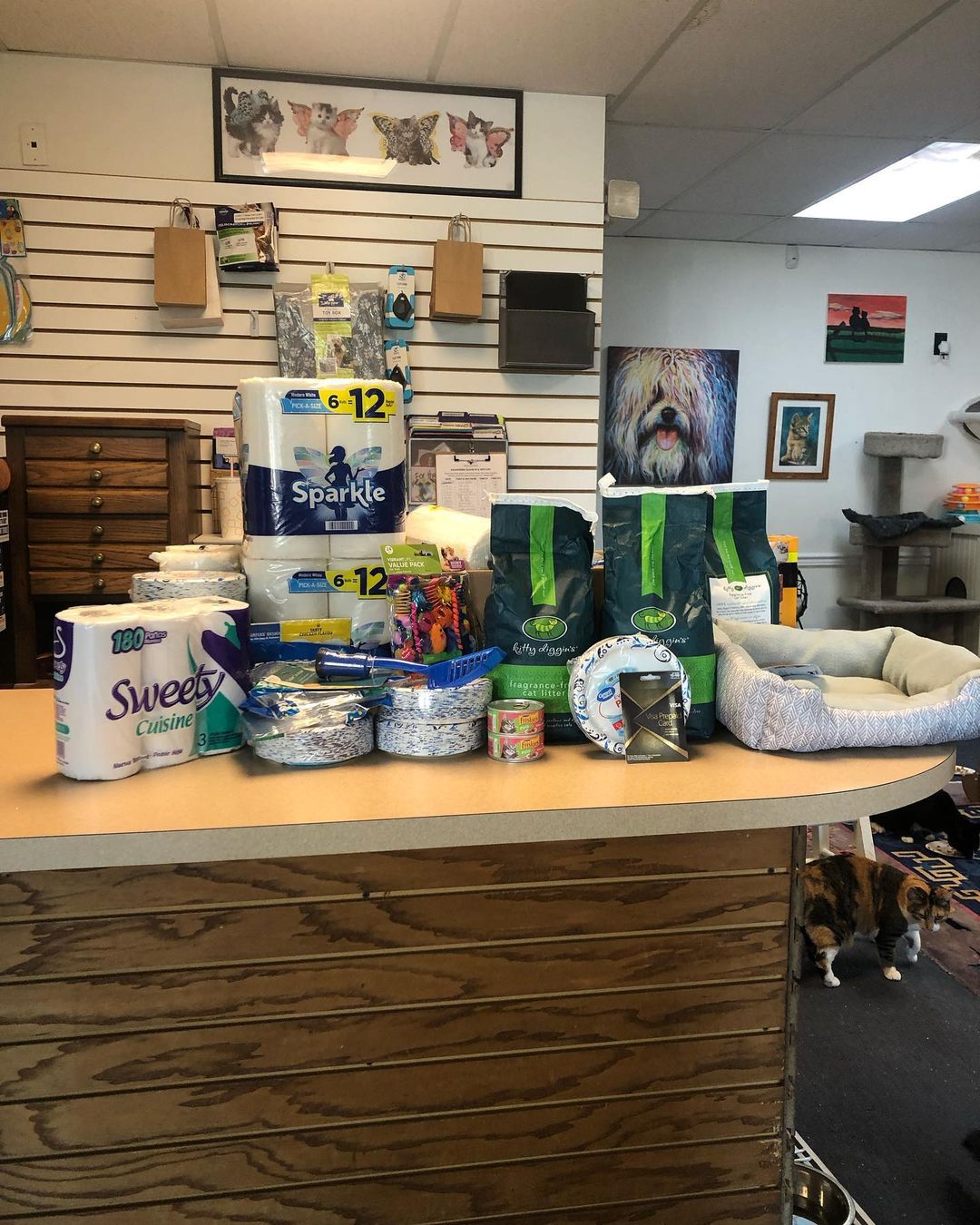 Many, many thanks to FLR volunteers Addison and Hayleigh! They organized a fundraiser at their school and collected donations for our rescue! We will certainly put these to good use! <a target='_blank' href='https://www.instagram.com/explore/tags/TeamForeverLove/'>#TeamForeverLove</a> <a target='_blank' href='https://www.instagram.com/explore/tags/ittakesavillage/'>#ittakesavillage</a>