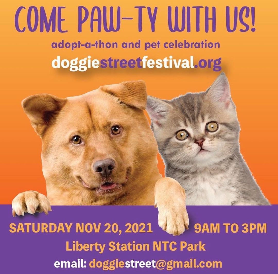 🐾📣Event Tomorrow📣🐾 Join us tomorrow, Saturday, 11/20 from 9am-3pm at the Doggie Street Festival at Liberty Station NTC Park – an adoption event bringing together the rescue community with adoptable dogs & cats, a platform to increase adoption and educate on spay/neuter options, alongside veterinarians, pet professionals, trainers, health and nutrition experts to provide information and improved care – all wrapped in a festive public celebration for our deserving companion animals. Swipe to see the pups that will be at the event. <a target='_blank' href='https://www.instagram.com/explore/tags/doggiestreetfestival/'>#doggiestreetfestival</a>

<a target='_blank' href='https://www.instagram.com/explore/tags/dogadoptionevent/'>#dogadoptionevent</a> <a target='_blank' href='https://www.instagram.com/explore/tags/sandiegoevent/'>#sandiegoevent</a> <a target='_blank' href='https://www.instagram.com/explore/tags/sandiegodogevent/'>#sandiegodogevent</a> <a target='_blank' href='https://www.instagram.com/explore/tags/mavericksSD/'>#mavericksSD</a> <a target='_blank' href='https://www.instagram.com/explore/tags/RescueDog/'>#RescueDog</a> <a target='_blank' href='https://www.instagram.com/explore/tags/AdoptDontShop/'>#AdoptDontShop</a> <a target='_blank' href='https://www.instagram.com/explore/tags/RescuePuppy/'>#RescuePuppy</a> <a target='_blank' href='https://www.instagram.com/explore/tags/ForTheLoveOfDogs/'>#ForTheLoveOfDogs</a> <a target='_blank' href='https://www.instagram.com/explore/tags/GetInvolved/'>#GetInvolved</a> <a target='_blank' href='https://www.instagram.com/explore/tags/Donate/'>#Donate</a> <a target='_blank' href='https://www.instagram.com/explore/tags/Volunteer/'>#Volunteer</a> <a target='_blank' href='https://www.instagram.com/explore/tags/FosteringSavesLives/'>#FosteringSavesLives</a> <a target='_blank' href='https://www.instagram.com/explore/tags/dogsofinstagram/'>#dogsofinstagram</a> <a target='_blank' href='https://www.instagram.com/explore/tags/dogsofinsta/'>#dogsofinsta</a> # <a target='_blank' href='https://www.instagram.com/explore/tags/dogevent/'>#dogevent</a> <a target='_blank' href='https://www.instagram.com/explore/tags/dogadoptionevent/'>#dogadoptionevent</a>
