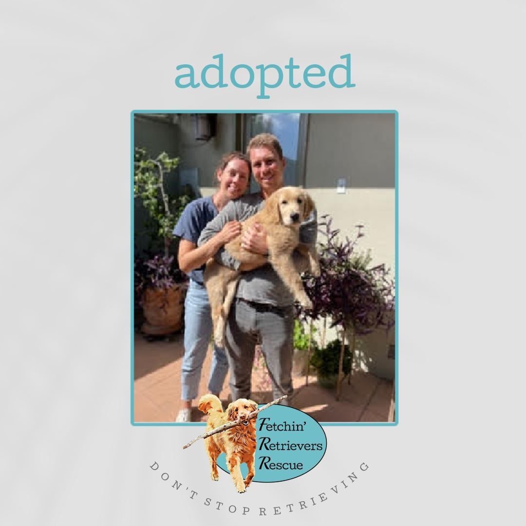 Spud has been adopted!  He is one of the four 