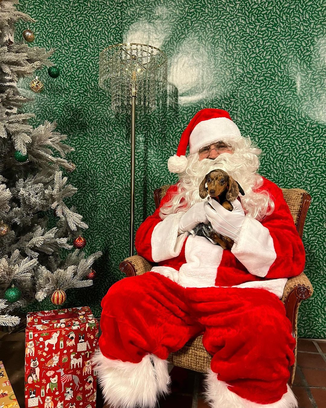 A huge thank you to everyone who came out to our PITures with Santa event on Thursday! We loved seeing all these amazing pups and kitties! <a target='_blank' href='https://www.instagram.com/explore/tags/applevalleypitcrew/'>#applevalleypitcrew</a>🐶🍎 <a target='_blank' href='https://www.instagram.com/explore/tags/AVPC/'>#AVPC</a> <a target='_blank' href='https://www.instagram.com/explore/tags/PitCrew/'>#PitCrew</a> <a target='_blank' href='https://www.instagram.com/explore/tags/pitbullsofinstagram/'>#pitbullsofinstagram</a> <a target='_blank' href='https://www.instagram.com/explore/tags/RescueandRedemption/'>#RescueandRedemption</a> <a target='_blank' href='https://www.instagram.com/explore/tags/adoptdontshop/'>#adoptdontshop</a> <a target='_blank' href='https://www.instagram.com/explore/tags/pitbullove/'>#pitbullove</a> <a target='_blank' href='https://www.instagram.com/explore/tags/pitbull/'>#pitbull</a> <a target='_blank' href='https://www.instagram.com/explore/tags/spreadtherumer/'>#spreadtherumer</a> <a target='_blank' href='https://www.instagram.com/explore/tags/rescueismyfavoritebreed/'>#rescueismyfavoritebreed</a> <a target='_blank' href='https://www.instagram.com/explore/tags/dontbullymybreed/'>#dontbullymybreed</a> <a target='_blank' href='https://www.instagram.com/explore/tags/thecrew/'>#thecrew</a>