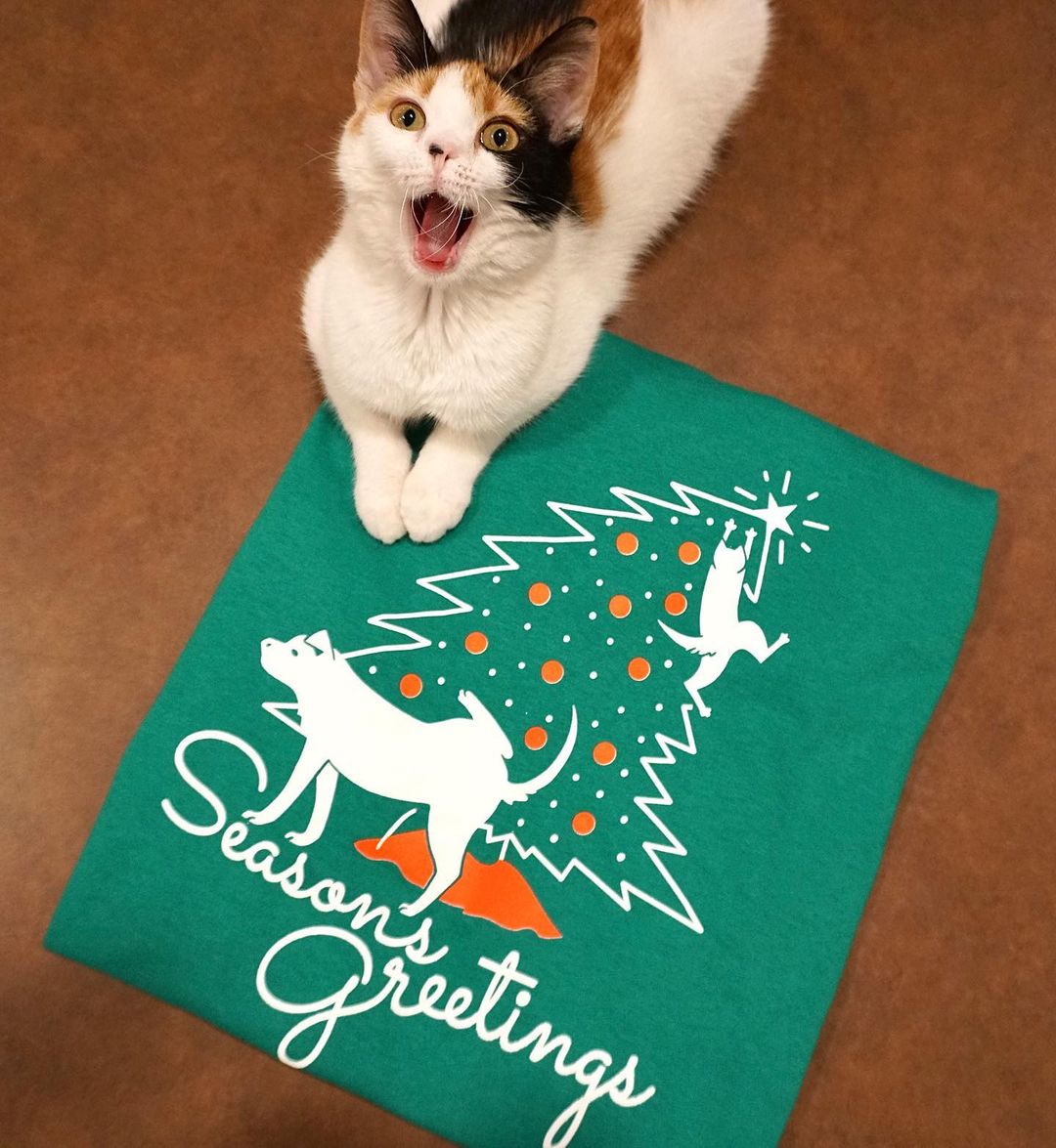 Laura CAN NOT contain her excitement any longer! Fresh off the press, it’s our limited edition Seasons Greetings t-shirts! We only have a limited quantity so get them fast, we will be selling them only in person at our office location. You’ll want to grab one soon so you can wear it all season long! 
Sizes range from: S-2XL
Price: $25.00