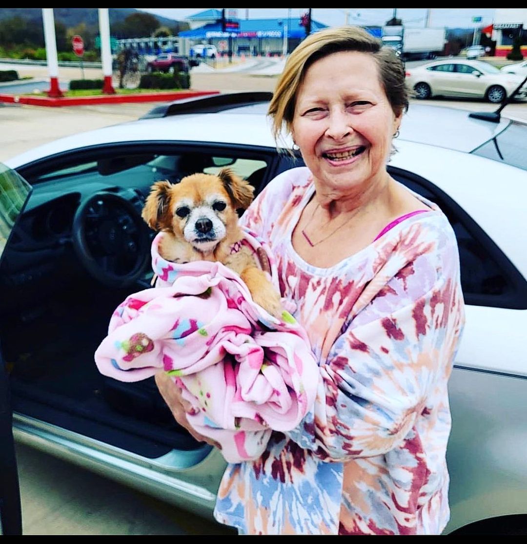 Our sweet senior Bindi went to her forever home! <a target='_blank' href='https://www.instagram.com/explore/tags/seniordogsofinstagram/'>#seniordogsofinstagram</a> <a target='_blank' href='https://www.instagram.com/explore/tags/seniordogsrock/'>#seniordogsrock</a> <a target='_blank' href='https://www.instagram.com/explore/tags/seniordogsrule/'>#seniordogsrule</a> <a target='_blank' href='https://www.instagram.com/explore/tags/seniordogs/'>#seniordogs</a> <a target='_blank' href='https://www.instagram.com/explore/tags/dogsofinstagram/'>#dogsofinstagram</a> <a target='_blank' href='https://www.instagram.com/explore/tags/dogstagram/'>#dogstagram</a> <a target='_blank' href='https://www.instagram.com/explore/tags/doglover/'>#doglover</a>