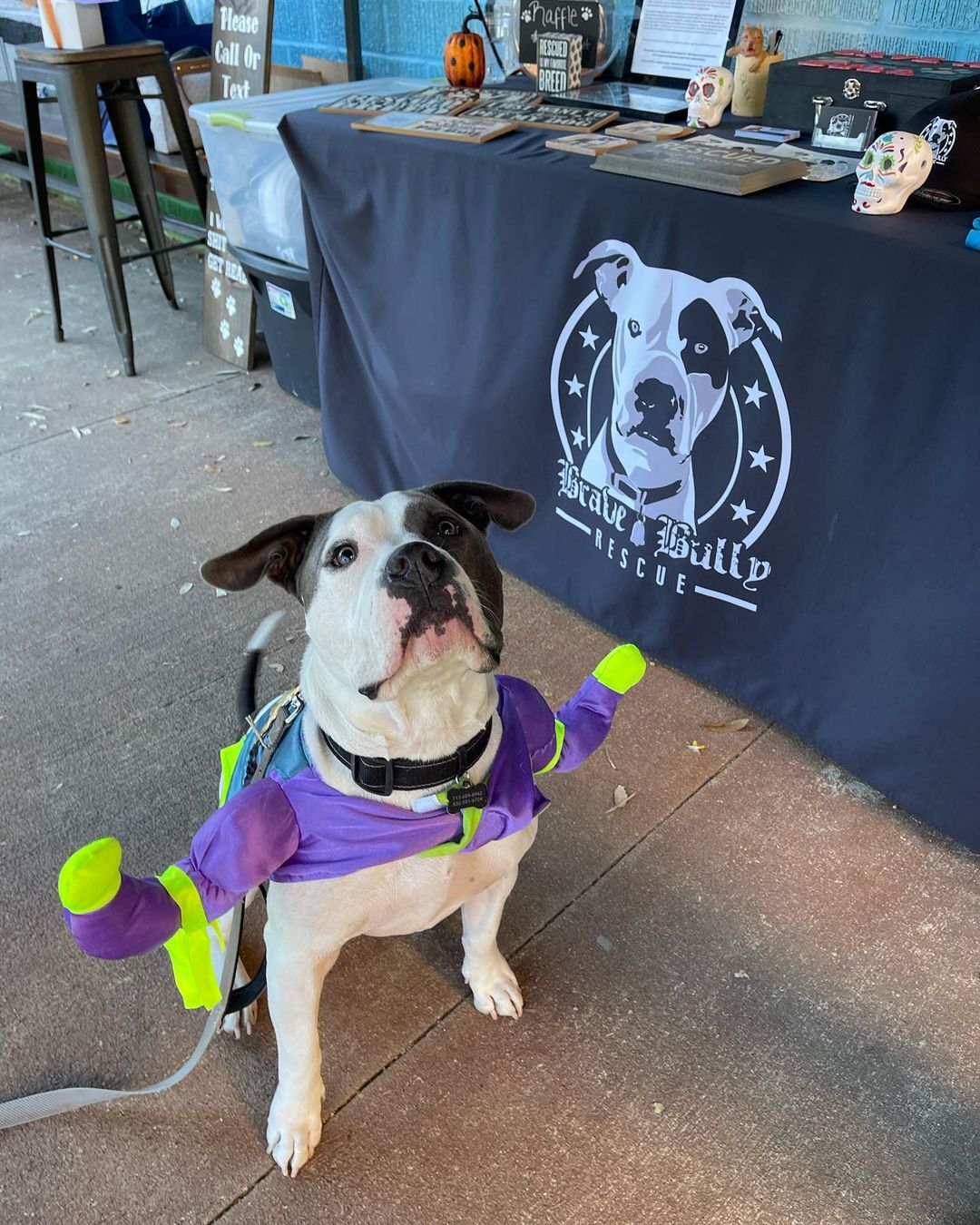 .
Happy <a target='_blank' href='https://www.instagram.com/explore/tags/TBT/'>#TBT</a> !!

We wanted to share a couple of pictures and videos from our Halloween Event on 10/30/21 @socialbeergardenhtx .

🏆 Our first place winner was sweet little @helloonorman , he was the cutest little Simba! 🥰 🦁 
🏆 Second place was our handsome Duke who was the coolest  Buzz Lightyear! 😍 👩‍🚀 

We were happy to see some of our BBR friends and <a target='_blank' href='https://www.instagram.com/explore/tags/BBRalumni/'>#BBRalumni</a> and can’t wait for our next event!