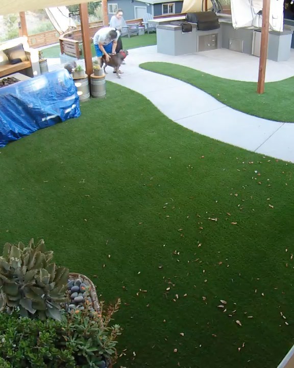 CHECK THIS OUT!! I’m way behind on updates but I want you guys to see what YOU allow me to do because of your support and donations. 

ARCHIE AND HALEY UPDATE!!

Adoptions can be challenging. We have way too many dogs and not enough homes. Then add the most overpopulated breed, the Pit Bull, then add to the equation that they are a senior and the odds go way down. So when you’re able to find a wonderful home for not only one senior Pit Bulls but TWO and it’s the same home (adopted a few months apart), there are no words to explain how I feel. Beyond grateful ❤️🙏🏻

Kindness wins, every time. 😆 Thank you guys for your support to keep my rescue efforts going.

Archie and Haley were rescued from the same overcrowded shelter where they desperately needed medical attention.

Archie‘s paws are almost 100% and he runs now. SWIPE. He has completely turned into a happy, goofy dog now that he is being properly cared for and receiving ongoing medicine. He’s in the most amazing home and loves other dogs. 

Haley had a partial amputation of her toe due to melanoma and is doing amazing. The last shelter video is what caught my eye and I had to save her. 

Life can change in an instant.

To donate, volunteer, foster or adopt, please click on the link above.

@fur_pet_sake @shelterdogs4life @desidesi134 

<a target='_blank' href='https://www.instagram.com/explore/tags/Frankielolaandfriends/'>#Frankielolaandfriends</a>