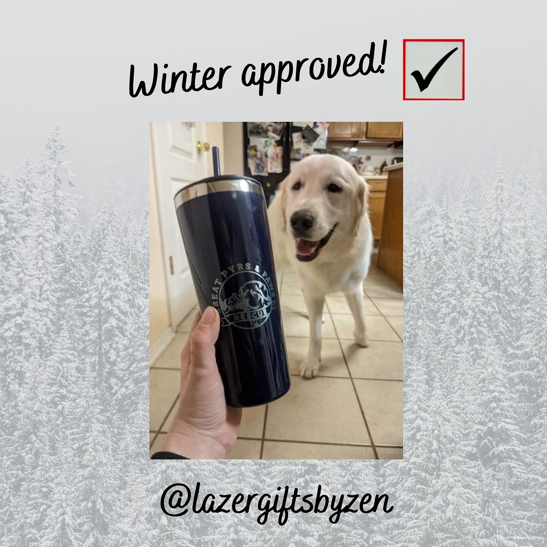 📣 Friends, there’s less than 2 weeks to get your tumbler as this fundraiser 🎄 ends on November 30th! 🎉 It’s only a 2 week order time so you can still get that “extra something” 🎁 before the holidays and all proceeds go towards helping the dogs 🐶 in rescue!  Head to the linktr.ee in our bio 👆🏽 to find the order link.  As always, thank you for your support! 🙏 And a big thank you to @lazergiftsbyzen <a target='_blank' href='https://www.instagram.com/explore/tags/greatpyrsandpawsrescue/'>#greatpyrsandpawsrescue</a> <a target='_blank' href='https://www.instagram.com/explore/tags/greatpyrenees/'>#greatpyrenees</a> <a target='_blank' href='https://www.instagram.com/explore/tags/greatpyreneesofinstagram/'>#greatpyreneesofinstagram</a> <a target='_blank' href='https://www.instagram.com/explore/tags/adoptdontshop/'>#adoptdontshop</a> <a target='_blank' href='https://www.instagram.com/explore/tags/adoptapyr/'>#adoptapyr</a> <a target='_blank' href='https://www.instagram.com/explore/tags/fosterapyr/'>#fosterapyr</a> <a target='_blank' href='https://www.instagram.com/explore/tags/whatsyoursuperpower/'>#whatsyoursuperpower</a>