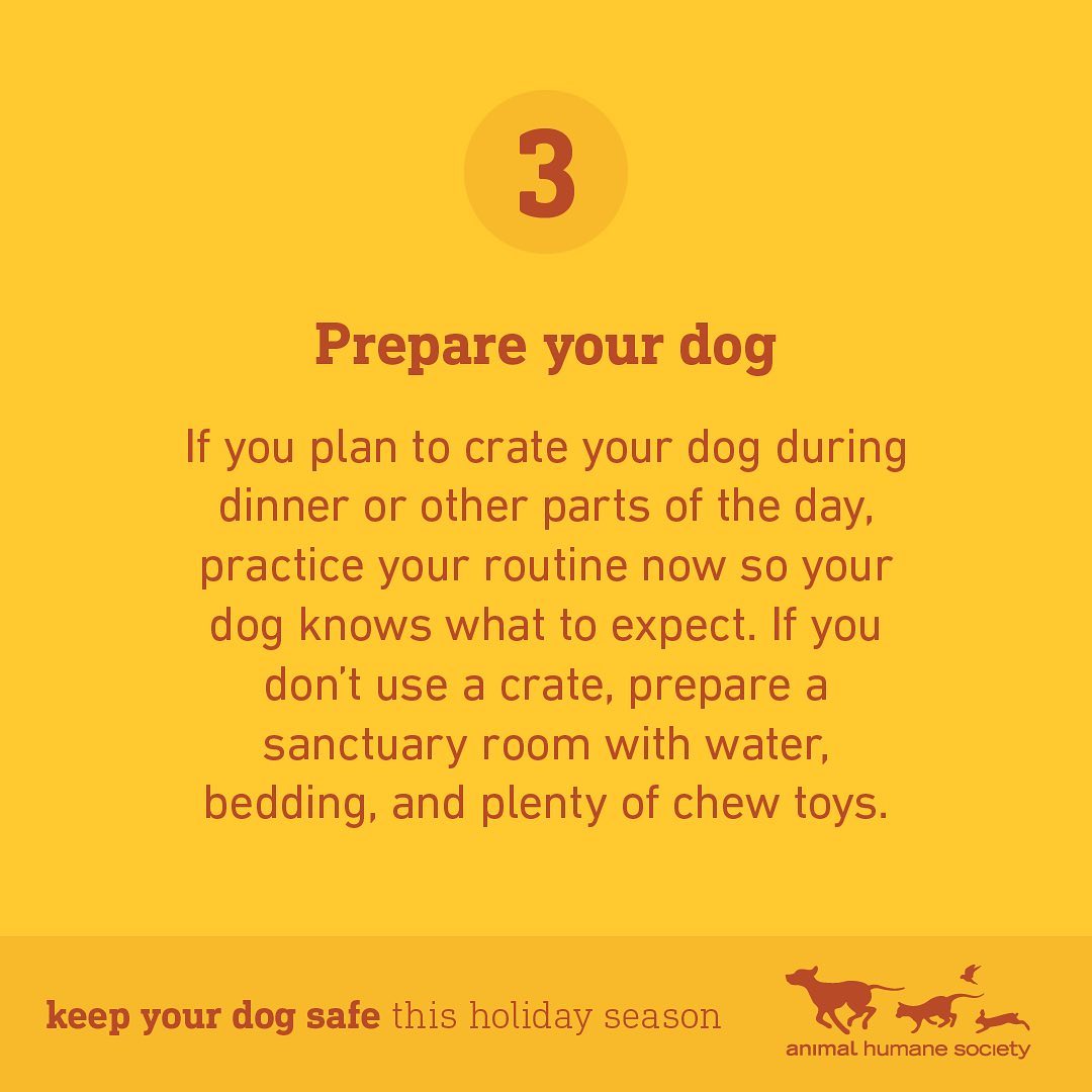 The holidays are here! ❄️ With these pointers, your dog and guests are sure to have a safe and happy season. 🐶