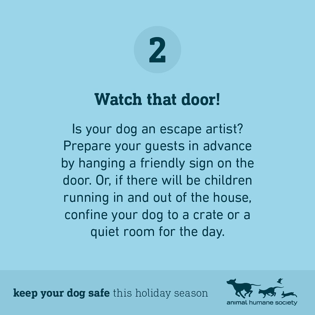 The holidays are here! ❄️ With these pointers, your dog and guests are sure to have a safe and happy season. 🐶