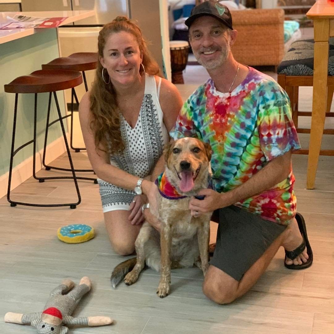 Our sweet Bindi has found her forever home.  Love at first sight!  Bindi is ADOPTED! <a target='_blank' href='https://www.instagram.com/explore/tags/bindi/'>#bindi</a> <a target='_blank' href='https://www.instagram.com/explore/tags/heeler/'>#heeler</a>