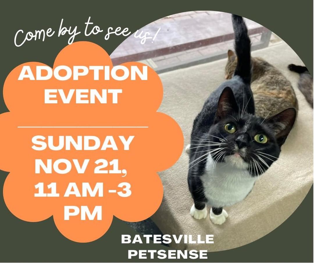 Stop by PETSENSE this Sunday Nov. 21 from 11-3 for a special Sunday adoption event.  We will have a variety of pets available for adoption.  Also, if you can’t adopt right now, maybe you can consider paying forward an adoption fee to make it easier for someone else to adopt. 

Stop by PETSENSE on Sunday afternoon to meet and greet!