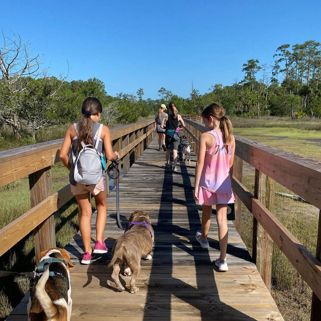 Thank you Skidaway for hosting Pups & Trucks yesterday! We had so much fun showing off our adoptable pups and meeting new faces! We can stay away for long — join us for a thanksgiving pack walk at 9:30am this Thursday! Walk it out before the big meal and enjoy a thankful nature walk with us!
Walks are open to anyone & everyone. Bring your dog, walk one of ours, or just enjoy a great walk surrounded by adoptable pups. (If you want to walk one of ours, let us know in advance!)
Remember your water, $5 park entrance, and poop bags. See you then!

@skidawayislandstatepark (meet in the parking lot to the left after the guard house.
<a target='_blank' href='https://www.instagram.com/explore/tags/renegadepawsrescue/'>#renegadepawsrescue</a> <a target='_blank' href='https://www.instagram.com/explore/tags/dogsofsavannah/'>#dogsofsavannah</a> <a target='_blank' href='https://www.instagram.com/explore/tags/adoptionevent/'>#adoptionevent</a> <a target='_blank' href='https://www.instagram.com/explore/tags/adoptabledogsofinstagram/'>#adoptabledogsofinstagram</a> <a target='_blank' href='https://www.instagram.com/explore/tags/packwalk/'>#packwalk</a> <a target='_blank' href='https://www.instagram.com/explore/tags/skidawayislandstatepark/'>#skidawayislandstatepark</a> <a target='_blank' href='https://www.instagram.com/explore/tags/skidaway/'>#skidaway</a> <a target='_blank' href='https://www.instagram.com/explore/tags/whattodoinsavannah/'>#whattodoinsavannah</a> <a target='_blank' href='https://www.instagram.com/explore/tags/thanksgiving/'>#thanksgiving</a> <a target='_blank' href='https://www.instagram.com/explore/tags/dogwalk/'>#dogwalk</a> <a target='_blank' href='https://www.instagram.com/explore/tags/exerciseyourdog/'>#exerciseyourdog</a> <a target='_blank' href='https://www.instagram.com/explore/tags/turkeytrot/'>#turkeytrot</a> <a target='_blank' href='https://www.instagram.com/explore/tags/savannahgeorgia/'>#savannahgeorgia</a> <a target='_blank' href='https://www.instagram.com/explore/tags/savannahga/'>#savannahga</a>