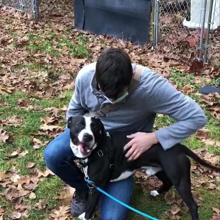 Are you looking for a young, playful dog who will lean into you for pets and give you all of his love? If so, Baxter might be the pup for you! Fill out an adoption application on our website today!

And thanks to Mason from @littledogcoffee for giving Baxter and our animal guests a bit of extra love this week ❤️🐾☕️