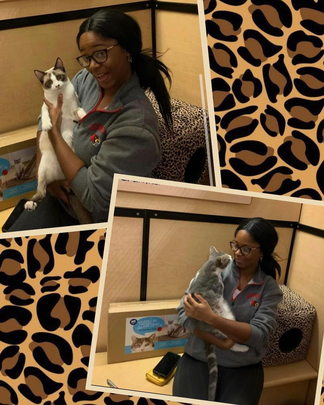 Ring the bells... 🔔🎉🔔
Zorro & Farmer left together for their Furever home.  These loveable fellas have patiently waited for the purrrfect person to adopt them. 

We wish this new family a lifetime of love, happiness, and endless playtime.
❤️🐾😻

<a target='_blank' href='https://www.instagram.com/explore/tags/adoptionsaveslives/'>#adoptionsaveslives</a> <a target='_blank' href='https://www.instagram.com/explore/tags/adoptdontshop/'>#adoptdontshop</a> <a target='_blank' href='https://www.instagram.com/explore/tags/adoptakitten/'>#adoptakitten</a> <a target='_blank' href='https://www.instagram.com/explore/tags/twocatsarebetterthanone/'>#twocatsarebetterthanone</a> <a target='_blank' href='https://www.instagram.com/explore/tags/petsmartadoptions/'>#petsmartadoptions</a> <a target='_blank' href='https://www.instagram.com/explore/tags/petsmart/'>#petsmart</a> 
<a target='_blank' href='https://www.instagram.com/explore/tags/petsmartcharities/'>#petsmartcharities</a> <a target='_blank' href='https://www.instagram.com/explore/tags/sheltercatsofinstagram/'>#sheltercatsofinstagram</a> <a target='_blank' href='https://www.instagram.com/explore/tags/sheltercatsrule/'>#sheltercatsrule</a> <a target='_blank' href='https://www.instagram.com/explore/tags/sheltercatsrock/'>#sheltercatsrock</a> 
<a target='_blank' href='https://www.instagram.com/explore/tags/sheltercats/'>#sheltercats</a> <a target='_blank' href='https://www.instagram.com/explore/tags/sheltercatsarethebest/'>#sheltercatsarethebest</a> <a target='_blank' href='https://www.instagram.com/explore/tags/rescuecatsofig/'>#rescuecatsofig</a> 
<a target='_blank' href='https://www.instagram.com/explore/tags/rescuecat/'>#rescuecat</a> 
<a target='_blank' href='https://www.instagram.com/explore/tags/rescuecatsrock/'>#rescuecatsrock</a> 
<a target='_blank' href='https://www.instagram.com/explore/tags/rescuecats/'>#rescuecats</a> <a target='_blank' href='https://www.instagram.com/explore/tags/rescuecatsofinstagram/'>#rescuecatsofinstagram</a> <a target='_blank' href='https://www.instagram.com/explore/tags/rescuecatsarethebest/'>#rescuecatsarethebest</a> <a target='_blank' href='https://www.instagram.com/explore/tags/southernindiana/'>#southernindiana</a> <a target='_blank' href='https://www.instagram.com/explore/tags/jeffersonvilleindiana/'>#jeffersonvilleindiana</a> <a target='_blank' href='https://www.instagram.com/explore/tags/jeffersonville/'>#jeffersonville</a> <a target='_blank' href='https://www.instagram.com/explore/tags/clarksvilleindiana/'>#clarksvilleindiana</a> <a target='_blank' href='https://www.instagram.com/explore/tags/adoptables/'>#adoptables</a> 
<a target='_blank' href='https://www.instagram.com/explore/tags/kitten/'>#kitten</a> 
<a target='_blank' href='https://www.instagram.com/explore/tags/kittens/'>#kittens</a> 
<a target='_blank' href='https://www.instagram.com/explore/tags/kittenseason/'>#kittenseason</a> <a target='_blank' href='https://www.instagram.com/explore/tags/kittenseason2021/'>#kittenseason2021</a>