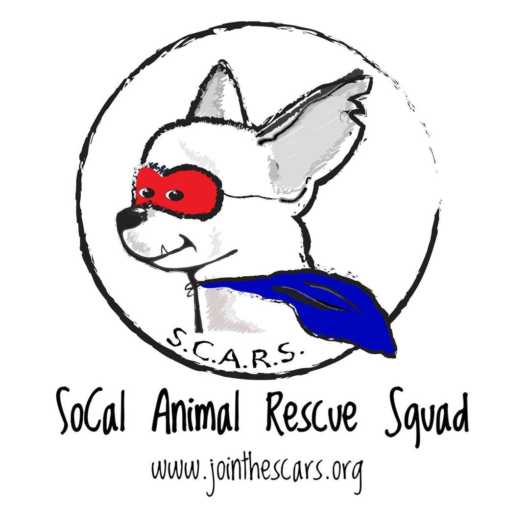 ⠀
Our squad is thrilled to celebrate Adam’s adoption! Besides earning his superhero cape, he’s found his perfect match!
⠀
We’ve always called him “Pinky Adam” since the day he joined our squad several months ago. He came to us covered with a skin condition and he was all pink. With lots of love, nurturing and care, Adam healed and grew a beautiful tan coat.
⠀
He stole the hearts of many, but since he’s counting on us to find him his perfect match, we just couldn’t settle. Just like we do with each of our heroes, we must find their perfect match… and that we did indeed!
⠀
Adam is now the center of his new family’s lives! He is loved and pampered… he’s their prince.
⠀
A special thank you to his Foster Family for the love & nurturing they gave him. A lot of care and skin rehab when into his recovery. This happy day was made possible because of their gesture to foster him and allow him a place to heal and learn to trust humans again.
⠀
He is one happy and loved hero!
⠀
<a target='_blank' href='https://www.instagram.com/explore/tags/jointhescars/'>#jointhescars</a> <a target='_blank' href='https://www.instagram.com/explore/tags/adoptdontshop/'>#adoptdontshop</a> <a target='_blank' href='https://www.instagram.com/explore/tags/heroeshelpingheroes/'>#heroeshelpingheroes</a> <a target='_blank' href='https://www.instagram.com/explore/tags/fosteringsaveslives/'>#fosteringsaveslives</a> <a target='_blank' href='https://www.instagram.com/explore/tags/fosterssavelives/'>#fosterssavelives</a> <a target='_blank' href='https://www.instagram.com/explore/tags/rescuedog/'>#rescuedog</a>