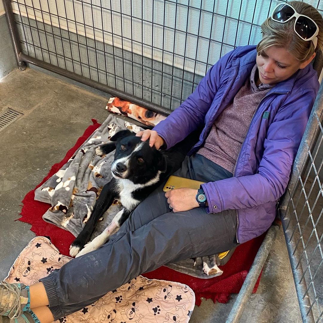 When you have a bad owie and manipulate the volunteers to sit with you and give you all the lovies. Berkley is still healing and we are doing our best to keep her comfy and spoiled. <a target='_blank' href='https://www.instagram.com/explore/tags/dogrescue/'>#dogrescue</a> <a target='_blank' href='https://www.instagram.com/explore/tags/hipsurgery/'>#hipsurgery</a> <a target='_blank' href='https://www.instagram.com/explore/tags/recovery/'>#recovery</a> <a target='_blank' href='https://www.instagram.com/explore/tags/shelterlife/'>#shelterlife</a>