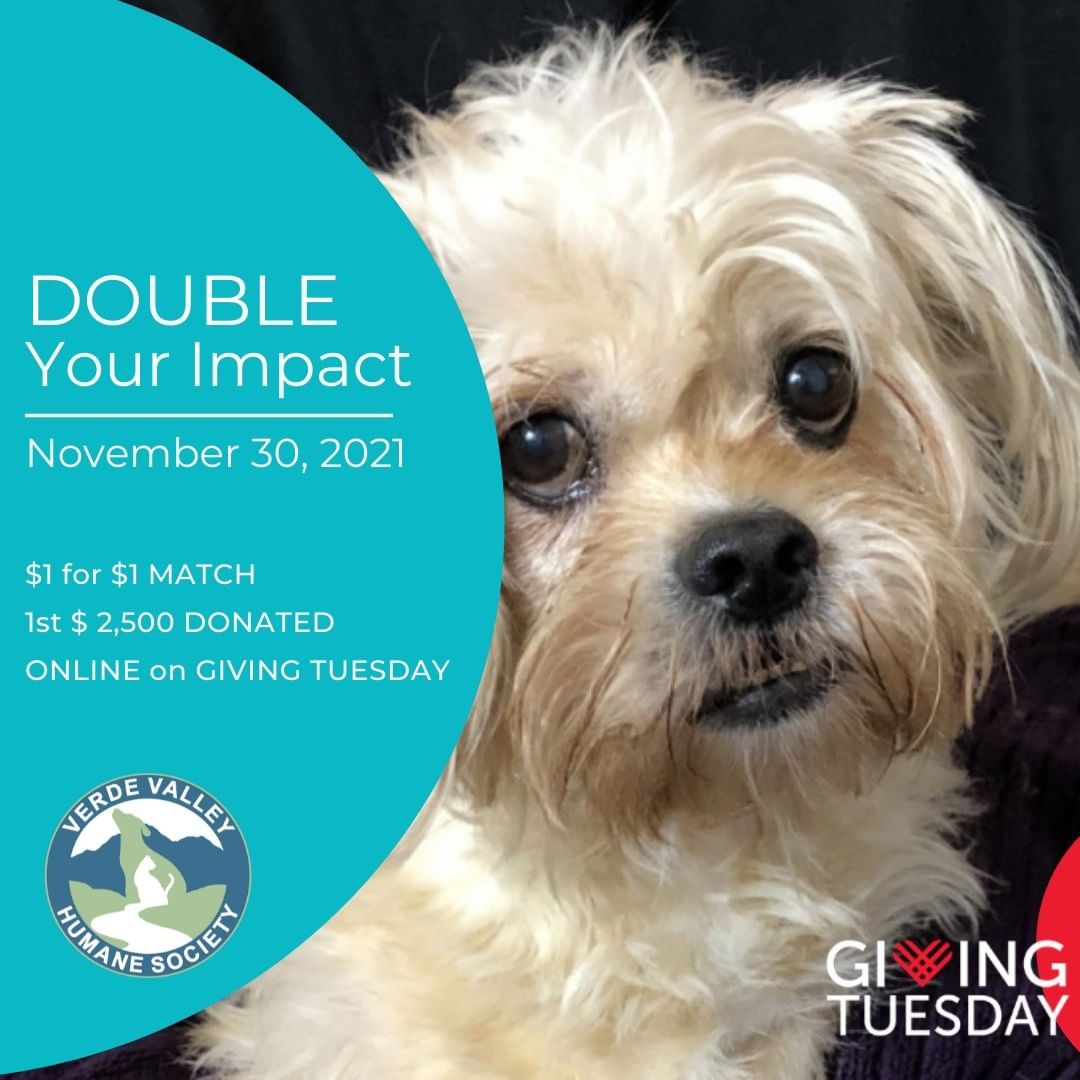 BREAKING NEWS!  We have a match! A generous donor will match, $1 for $1, the first $2,500 donated online to VVHS on Giving Tuesday!  That means your gift could have twice the impact - your $50 gift becomes $100, your $100 gift becomes $200, and your $250 gift becomes $500!!! Stay tuned for more information on how you can take advantage of this special Giving Tuesday match!  <a target='_blank' href='https://www.instagram.com/explore/tags/GivingTuesday/'>#GivingTuesday</a> <a target='_blank' href='https://www.instagram.com/explore/tags/VVHSCares/'>#VVHSCares</a> <a target='_blank' href='https://www.instagram.com/explore/tags/animalrescue/'>#animalrescue</a> <a target='_blank' href='https://www.instagram.com/explore/tags/shelter/'>#shelter</a> <a target='_blank' href='https://www.instagram.com/explore/tags/charity/'>#charity</a> <a target='_blank' href='https://www.instagram.com/explore/tags/savelives/'>#savelives</a> <a target='_blank' href='https://www.instagram.com/explore/tags/dogs/'>#dogs</a> <a target='_blank' href='https://www.instagram.com/explore/tags/cats/'>#cats</a> <a target='_blank' href='https://www.instagram.com/explore/tags/pets/'>#pets</a>