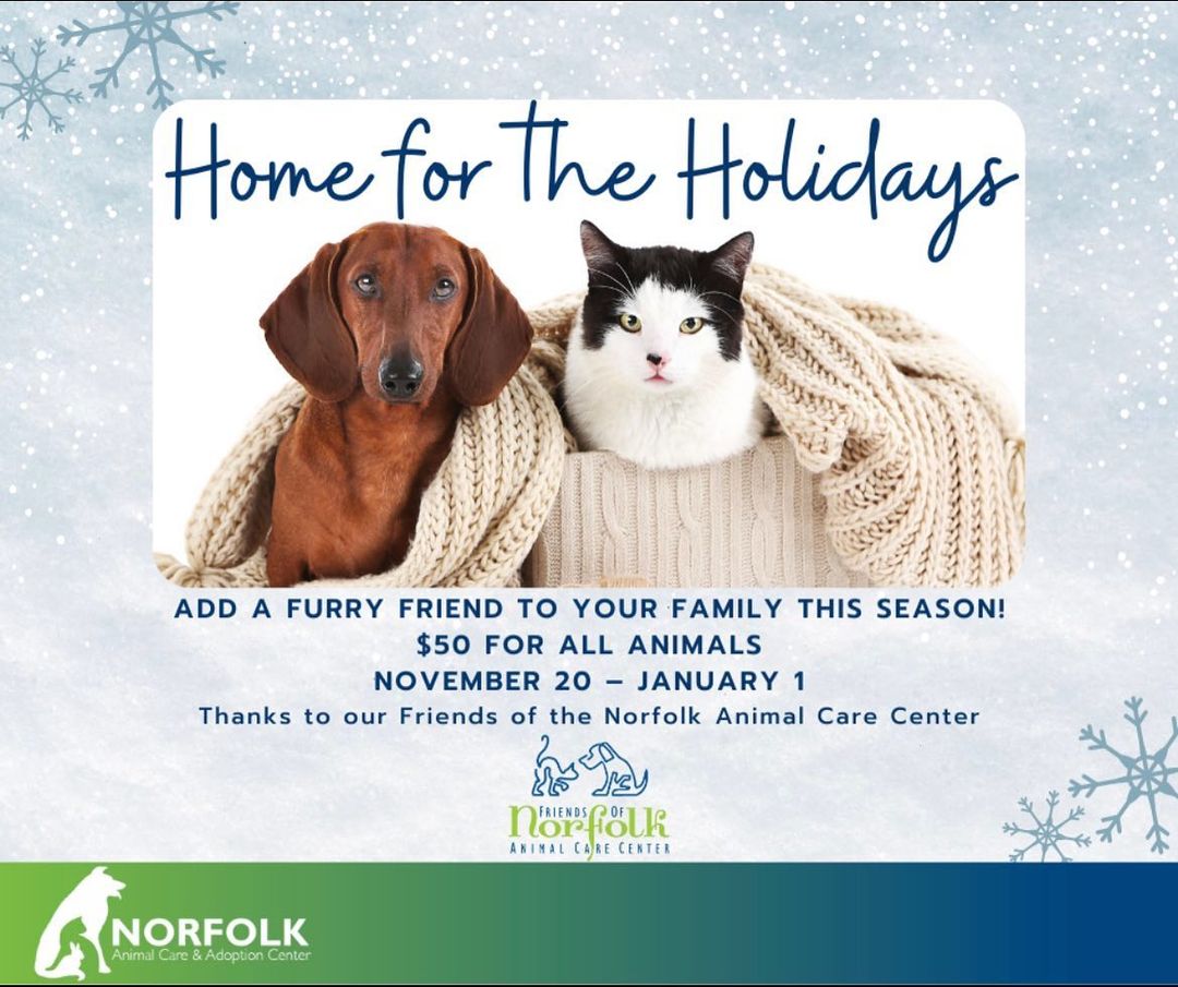 Its a big day at NACC!! 

Our Home for the Holidays adoption special starts TODAY until JANUARY 1st! ALL animals have an adoption fee of $50, thanks to Friends of the Norfolk Animal Care Center! Help us CLEAR out the shelter and get all the dogs, cats,rabbits, guinea pigs, hamsters and gerbils a home for the holiday season. 

Not ready to adopt? Email volunternacc@norfolk.gov and learn about our foster program this holiday season. 

Hours: 
🐾Saturday & Sunday 12-4:30 no appointment needed.
🐾 Monday & Thursday closed for deep clean and extra enrichment time!
🐾 Tuesday, Wednesday and Friday 2-4:30  Appointment only!

Hurry in! 

<a target='_blank' href='https://www.instagram.com/explore/tags/adoptnacc/'>#adoptnacc</a> <a target='_blank' href='https://www.instagram.com/explore/tags/fosternacc/'>#fosternacc</a>