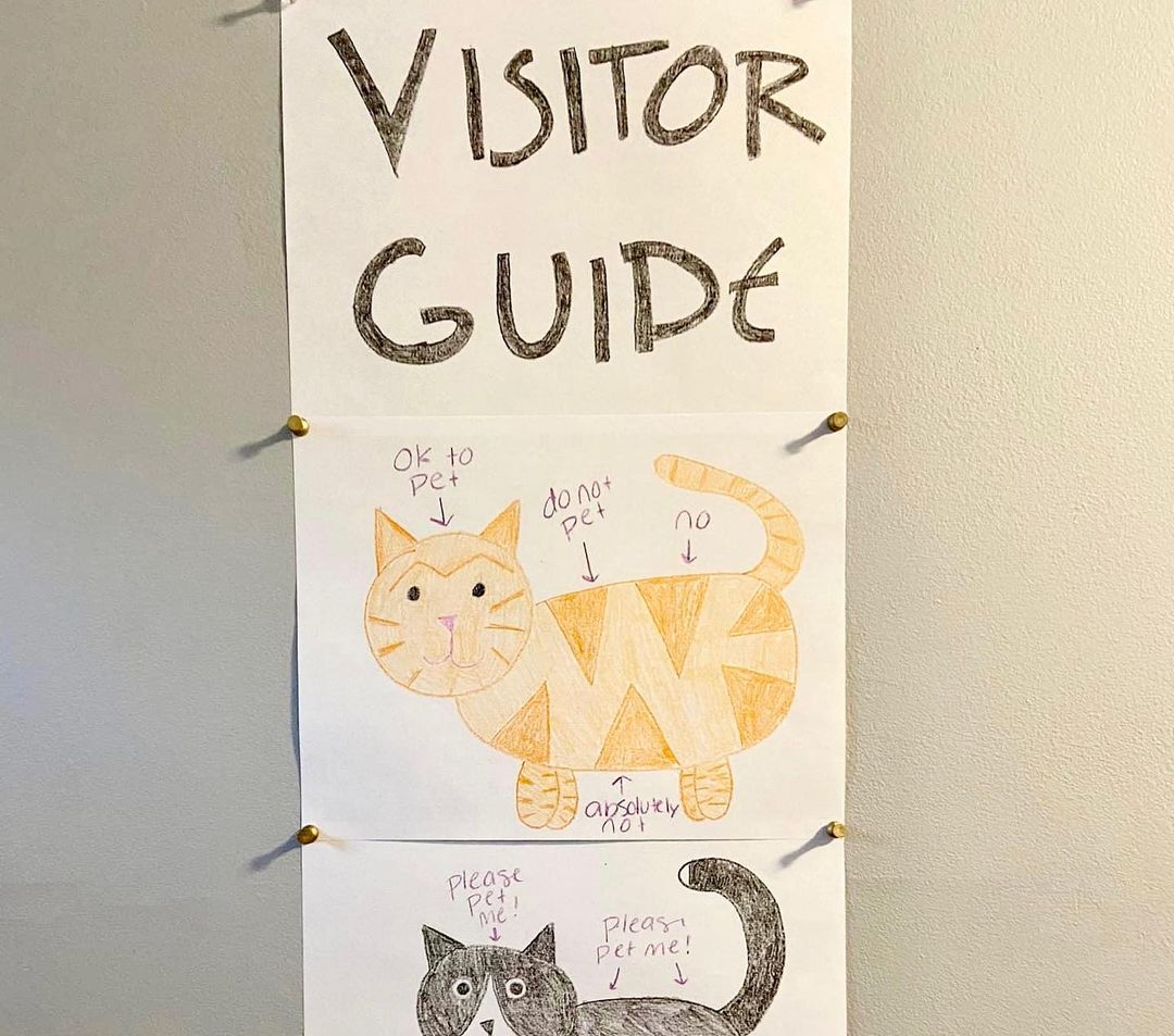 Pet Haven Alums, @lily_and_bluebell_nevs, have their own visitor guide and it’s everything we needed today.

Swipe ⬅️ to see more!