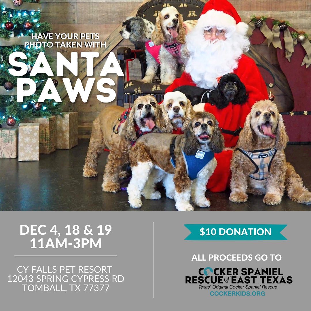 Santa Paws is coming to town...

Get a picture of your pets with Santa! 
Bring your leashed pups (and other critters) and join us for our annual Santa photos! 

December 4, 18, & 19. 
11AM – 3PM

Cy Falls Pet Resort
12043 Spring Cypress Rd
Tomball, TX 77377

.
.
.
. 
.
.
<a target='_blank' href='https://www.instagram.com/explore/tags/petsgram/'>#petsgram</a> <a target='_blank' href='https://www.instagram.com/explore/tags/puppylove/'>#puppylove</a> <a target='_blank' href='https://www.instagram.com/explore/tags/csreasttexas/'>#csreasttexas</a> <a target='_blank' href='https://www.instagram.com/explore/tags/texasrescue/'>#texasrescue</a> <a target='_blank' href='https://www.instagram.com/explore/tags/cockerkids/'>#cockerkids</a> <a target='_blank' href='https://www.instagram.com/explore/tags/cockerinn/'>#cockerinn</a> <a target='_blank' href='https://www.instagram.com/explore/tags/texasrescuedogs/'>#texasrescuedogs</a> <a target='_blank' href='https://www.instagram.com/explore/tags/cockerspaniel/'>#cockerspaniel</a> <a target='_blank' href='https://www.instagram.com/explore/tags/foster/'>#foster</a> <a target='_blank' href='https://www.instagram.com/explore/tags/rescuedog/'>#rescuedog</a> <a target='_blank' href='https://www.instagram.com/explore/tags/adoptdontshop/'>#adoptdontshop</a> <a target='_blank' href='https://www.instagram.com/explore/tags/adoptedismyfavoritebreed/'>#adoptedismyfavoritebreed</a> <a target='_blank' href='https://www.instagram.com/explore/tags/texascockerspaniel/'>#texascockerspaniel</a> <a target='_blank' href='https://www.instagram.com/explore/tags/texasdog/'>#texasdog</a> <a target='_blank' href='https://www.instagram.com/explore/tags/ilovecockerspaniels/'>#ilovecockerspaniels</a> <a target='_blank' href='https://www.instagram.com/explore/tags/spanielsofinstagram/'>#spanielsofinstagram</a> <a target='_blank' href='https://www.instagram.com/explore/tags/opttoadopt/'>#opttoadopt</a> <a target='_blank' href='https://www.instagram.com/explore/tags/opttoadopthouston/'>#opttoadopthouston</a> <a target='_blank' href='https://www.instagram.com/explore/tags/adoptafurryfriendinneed/'>#adoptafurryfriendinneed</a>