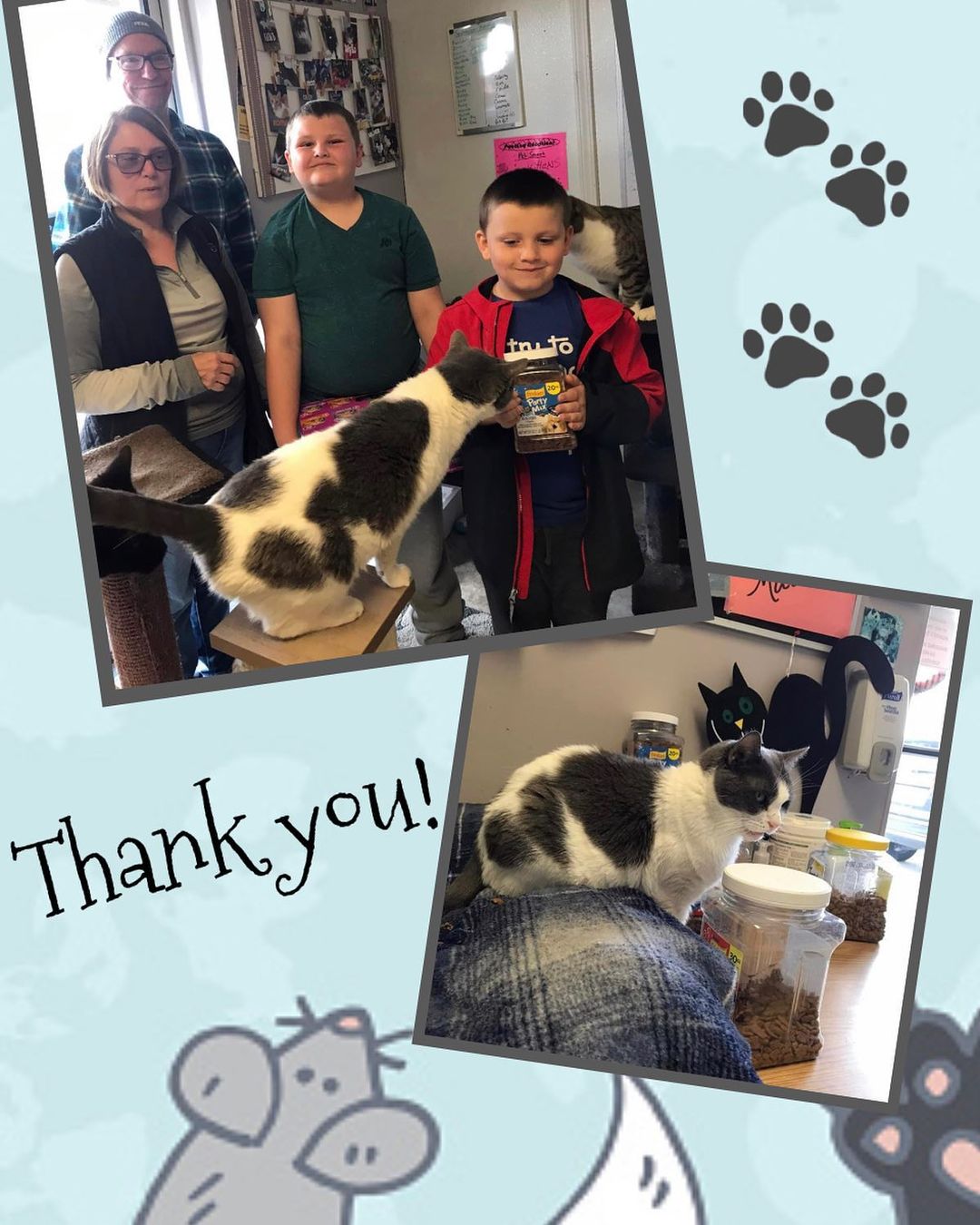 Bungee approved all the donations from this sweet family. Especially the Party Mix. Thank you so much. 
🙏🏼❤️🐾😻

<a target='_blank' href='https://www.instagram.com/explore/tags/adoptionsaveslives/'>#adoptionsaveslives</a> <a target='_blank' href='https://www.instagram.com/explore/tags/startastoryadopt/'>#startastoryadopt</a> <a target='_blank' href='https://www.instagram.com/explore/tags/adoptdontshop/'>#adoptdontshop</a> <a target='_blank' href='https://www.instagram.com/explore/tags/adoptables/'>#adoptables</a> <a target='_blank' href='https://www.instagram.com/explore/tags/adoptanadultcat/'>#adoptanadultcat</a> <a target='_blank' href='https://www.instagram.com/explore/tags/rescuecatsofig/'>#rescuecatsofig</a> <a target='_blank' href='https://www.instagram.com/explore/tags/rescuecat/'>#rescuecat</a> <a target='_blank' href='https://www.instagram.com/explore/tags/rescuecatsrock/'>#rescuecatsrock</a> <a target='_blank' href='https://www.instagram.com/explore/tags/rescuecats/'>#rescuecats</a> <a target='_blank' href='https://www.instagram.com/explore/tags/rescuecatsofinstagram/'>#rescuecatsofinstagram</a><a target='_blank' href='https://www.instagram.com/explore/tags/rescuecatsarethebest/'>#rescuecatsarethebest</a> <a target='_blank' href='https://www.instagram.com/explore/tags/rescuecatsrule/'>#rescuecatsrule</a> <a target='_blank' href='https://www.instagram.com/explore/tags/sheltercatsofinstagram/'>#sheltercatsofinstagram</a> <a target='_blank' href='https://www.instagram.com/explore/tags/sheltercatsrule/'>#sheltercatsrule</a> <a target='_blank' href='https://www.instagram.com/explore/tags/sheltercatsrock/'>#sheltercatsrock</a> <a target='_blank' href='https://www.instagram.com/explore/tags/sheltercats/'>#sheltercats</a> <a target='_blank' href='https://www.instagram.com/explore/tags/sheltercatsarethebest/'>#sheltercatsarethebest</a> <a target='_blank' href='https://www.instagram.com/explore/tags/jeffersonvilleindiana/'>#jeffersonvilleindiana</a> <a target='_blank' href='https://www.instagram.com/explore/tags/jeffersonville/'>#jeffersonville</a> <a target='_blank' href='https://www.instagram.com/explore/tags/southernindiana/'>#southernindiana</a>