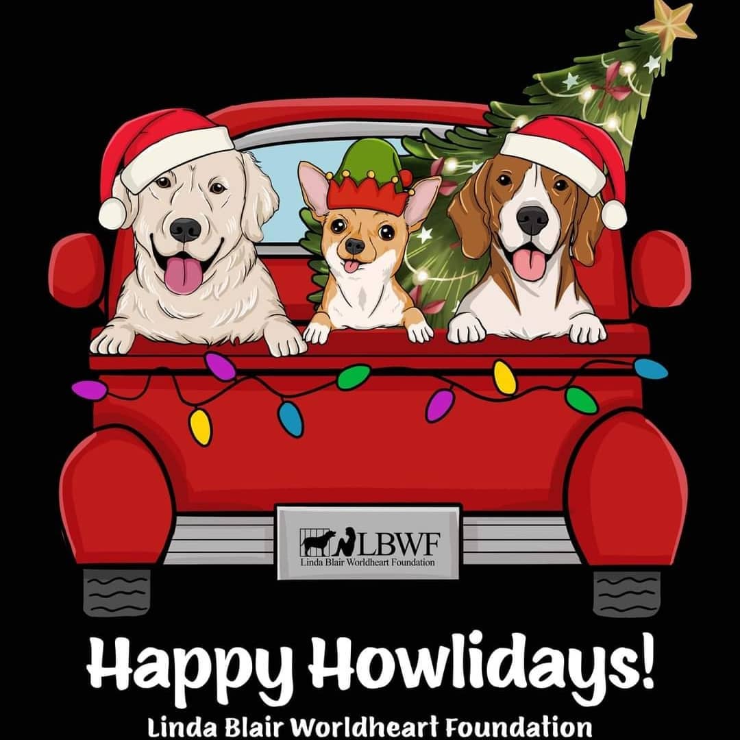 We have several new holiday designs for dog lovers! 
 🎄 🐕 🎅 

Available in various styles and colors!

All proceeds benefit the rescued dogs at LBWF. Your support means everything to the dogs and to us! We appreciate you all!
 
Link to store in bio or you can view the holiday designs here:
https://www.lbwfstore.org/christmas

<a target='_blank' href='https://www.instagram.com/explore/tags/WearYourSupport/'>#WearYourSupport</a> <a target='_blank' href='https://www.instagram.com/explore/tags/supportanimalrescue/'>#supportanimalrescue</a> <a target='_blank' href='https://www.instagram.com/explore/tags/donationssavelives/'>#donationssavelives</a> <a target='_blank' href='https://www.instagram.com/explore/tags/dogrescue/'>#dogrescue</a> <a target='_blank' href='https://www.instagram.com/explore/tags/doglovers/'>#doglovers</a> <a target='_blank' href='https://www.instagram.com/explore/tags/happyhowlidays/'>#happyhowlidays</a> <a target='_blank' href='https://www.instagram.com/explore/tags/happyhowlidays/'>#happyhowlidays</a> <a target='_blank' href='https://www.instagram.com/explore/tags/holidaymerch/'>#holidaymerch</a> <a target='_blank' href='https://www.instagram.com/explore/tags/festive/'>#festive</a> <a target='_blank' href='https://www.instagram.com/explore/tags/lindablairworldheartfoundation/'>#lindablairworldheartfoundation</a> <a target='_blank' href='https://www.instagram.com/explore/tags/bullybreed/'>#bullybreed</a> <a target='_blank' href='https://www.instagram.com/explore/tags/bullybreedlove/'>#bullybreedlove</a> <a target='_blank' href='https://www.instagram.com/explore/tags/siberianhusky/'>#siberianhusky</a> <a target='_blank' href='https://www.instagram.com/explore/tags/lab/'>#lab</a> <a target='_blank' href='https://www.instagram.com/explore/tags/beagle/'>#beagle</a> <a target='_blank' href='https://www.instagram.com/explore/tags/corgi/'>#corgi</a> <a target='_blank' href='https://www.instagram.com/explore/tags/bordercollie/'>#bordercollie</a> <a target='_blank' href='https://www.instagram.com/explore/tags/chihuahua/'>#chihuahua</a>  <a target='_blank' href='https://www.instagram.com/explore/tags/cuteanimals/'>#cuteanimals</a>