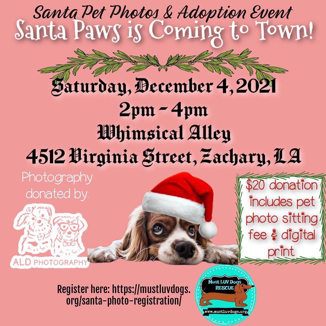 Don’t forget to sign up for our Santa Paws Pet Photos on Saturday December 4th!! It’s gonna be a fun event!  Thank you to our friends at @whimsicalalley for providing our Santa and the amazing & talented @alexislaurend  with @ald_pet_photography for her help doing the photography that day.  We are so blessed to have her!  It’s also an adoption event.  We will have several dogs looking for furever homes!  We only have 2 hours this year so make sure to sign up and grab your spot now.  Here’s the link to sign up:  You can find my form 