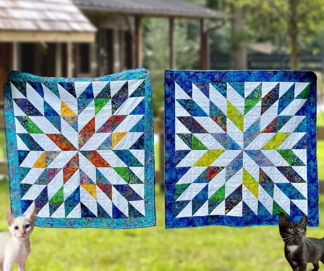 🧵🪡LAST CHANCE! 🪡🧵

Get your Quilt raffle tickets today by going to halliehill.com. Ticket sales close at 5pm today! Two chances to win - winners announced TOMORROW MORNING on @lowcountrylive !

All ticket sales go directly to the care of our animals 🐾❤