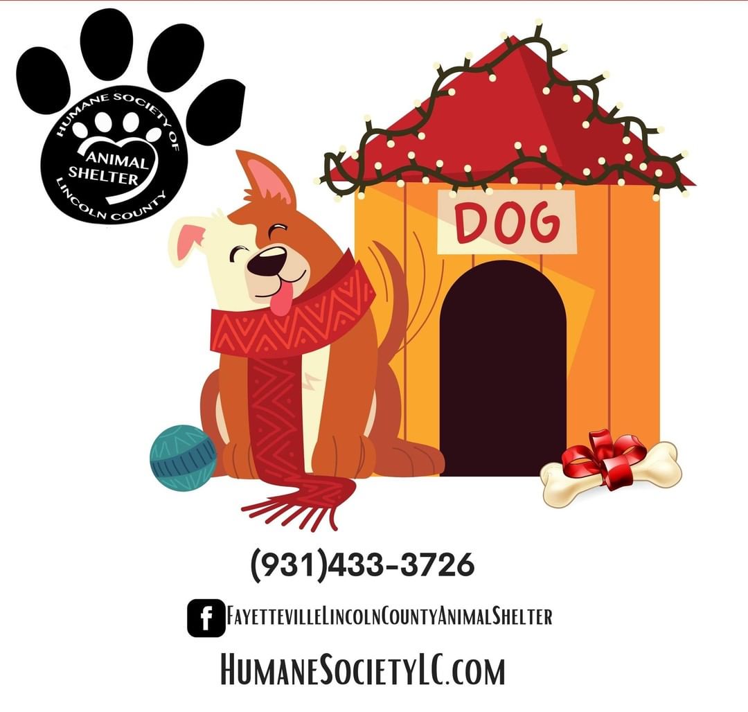 We are excited to share all of these wonderful events we have coming up! Take a look and come by to get a new furry family member!