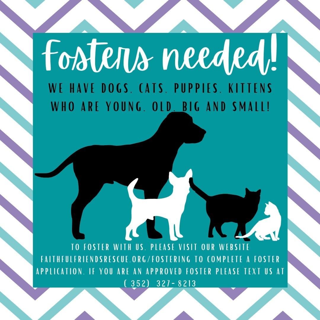 FOSTERS NEEDED! 
We have big dogs, small dogs, adult cats, kittens - just about anything you could think of in need of foster homes! We need both short and long term fosters! 
To foster with us, please visit our website faithfulfriendsrescue.org/fostering to complete a foster application. If you are an approved foster please text us at (352) 327-8213 to get set up! When you foster with us, you help us keep saving lives!
<a target='_blank' href='https://www.instagram.com/explore/tags/ffprr/'>#ffprr</a> <a target='_blank' href='https://www.instagram.com/explore/tags/faithfulfriendsprr/'>#faithfulfriendsprr</a> <a target='_blank' href='https://www.instagram.com/explore/tags/fostersneeded/'>#fostersneeded</a> <a target='_blank' href='https://www.instagram.com/explore/tags/fosteringsaveslives/'>#fosteringsaveslives</a> <a target='_blank' href='https://www.instagram.com/explore/tags/joinourfamily/'>#joinourfamily</a> <a target='_blank' href='https://www.instagram.com/explore/tags/growwithus/'>#growwithus</a>