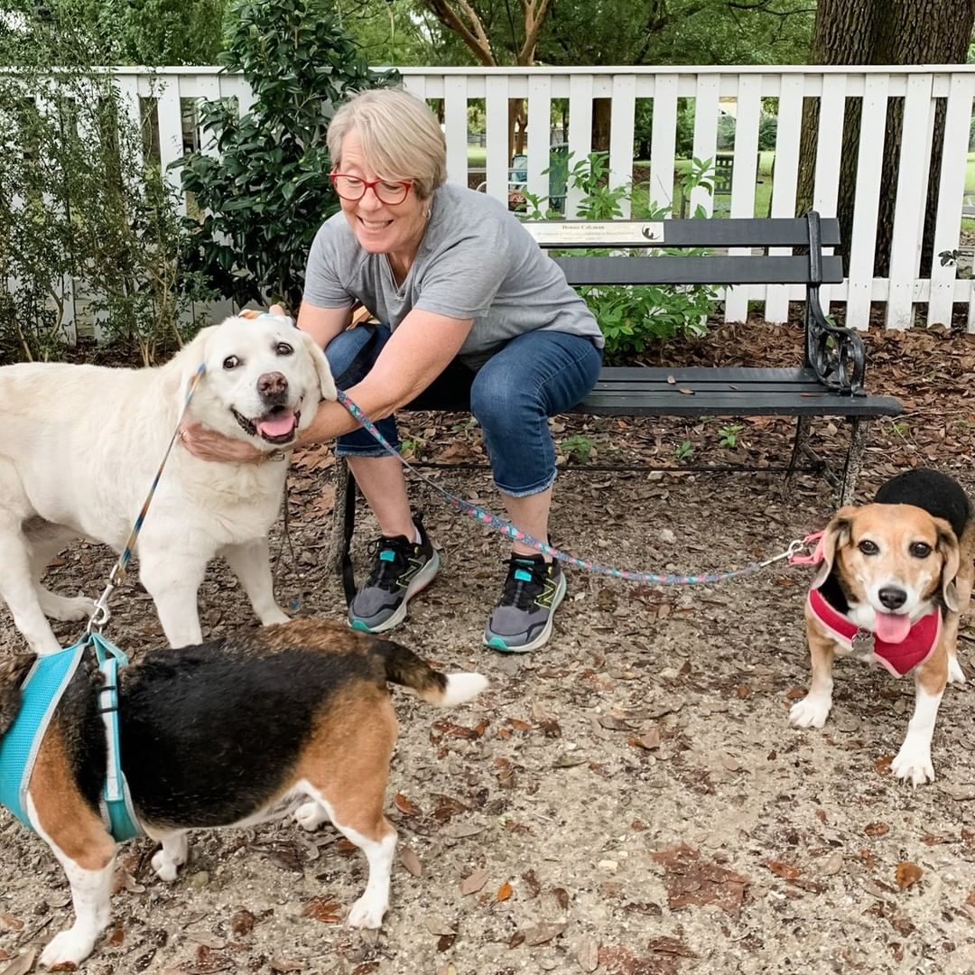 These adoptions are extra special. All these pups are seniors. We absolutely adore our seniors here at the sanctuary - and it is so very heartwarming when families give these older dogs a loving home. Please join us in celebrating these adoptions! We miss them dearly - but are so, so thrilled for them!!

❤ Precious - 14(!) year old blind girl who is just *precious*!

❤ Millie - 13 year old sweetheart who YOU helped with your donations when she had several lipomas removed

❤ Red - 10 year old handsome boy who was with us since 2018 - can you hear him barking with excitement?! 

❤ Buddy - 10 year old beautiful boy with a gentle soul 

❤ Elvis - 9 year old sweet sugar-faced boy

THANK YOU to the families that chose to adopt a senior dog - we know each of these pups will be showing their gratitude every day.