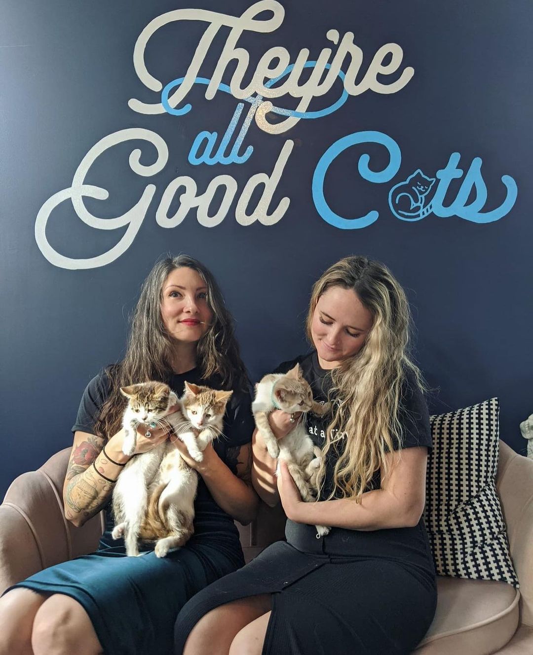 We’re over the moon to be opening @tortieandco - a unique gift boutique with free roaming adoptable OTAT cats helping you shop! 

The boutique features small businesses from around the world, local makers, and OTAT merchandise for sale. **100% of profits benefit OTAT's dog, cat, and rabbit rescue program.**

The shop is located at 1468 N. Ashland Ave in Chicago. Our Grand Opening is Black Friday at 11am! We are open to the public after that every Thursday-Sunday. No appointment needed- come in get your holiday gifts and meet adoptable OCATS!