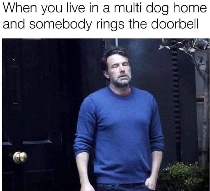 Ding 🛎 dong 🚪