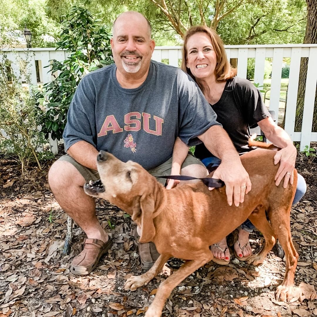 These adoptions are extra special. All these pups are seniors. We absolutely adore our seniors here at the sanctuary - and it is so very heartwarming when families give these older dogs a loving home. Please join us in celebrating these adoptions! We miss them dearly - but are so, so thrilled for them!!

❤ Precious - 14(!) year old blind girl who is just *precious*!

❤ Millie - 13 year old sweetheart who YOU helped with your donations when she had several lipomas removed

❤ Red - 10 year old handsome boy who was with us since 2018 - can you hear him barking with excitement?! 

❤ Buddy - 10 year old beautiful boy with a gentle soul 

❤ Elvis - 9 year old sweet sugar-faced boy

THANK YOU to the families that chose to adopt a senior dog - we know each of these pups will be showing their gratitude every day.