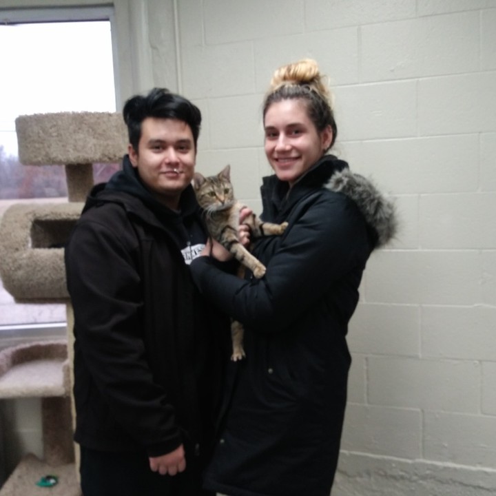 Vixxen found her forever home today!