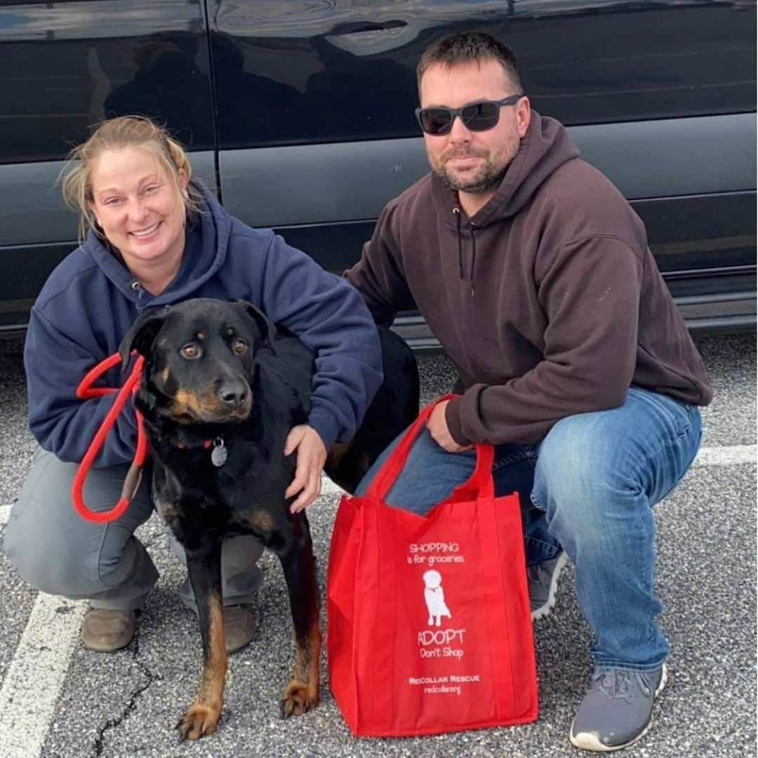 HAPPY TAIL for KIP!! 🥰⠀⠀⠀⠀⠀⠀⠀⠀⠀
Kip arrived safe and sound to PA around noon today! His new parents picked him up, and immediately texted 