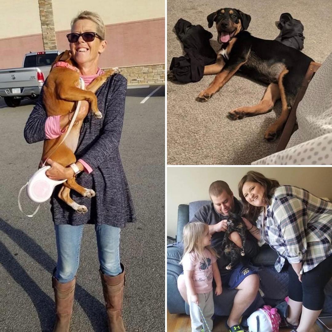 Congratulations to Holly, Trout, Nala, Sweden, Louis, and Champ for finding their forever home! 

We are so grateful for all our adopters and supporters of LPAH! Happy life sweet babies! 

<a target='_blank' href='https://www.instagram.com/explore/tags/adopt/'>#adopt</a> <a target='_blank' href='https://www.instagram.com/explore/tags/congratulations/'>#congratulations</a> <a target='_blank' href='https://www.instagram.com/explore/tags/adoptionday/'>#adoptionday</a>
