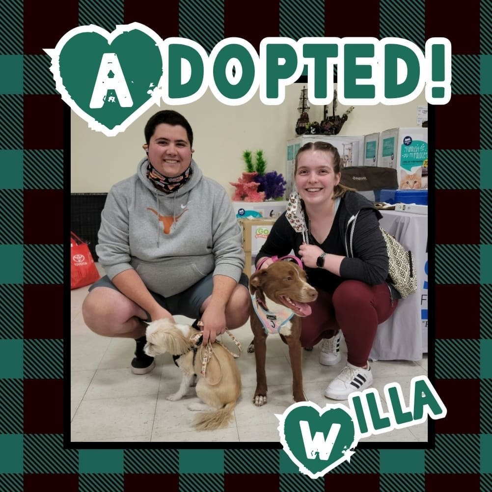 🥰HAPPY TAILS!🥰 We had SIX adoptions today @normanpetsmart 🥳🥳 Go live the good life, sweet babies! 🐶🐱🐾
<a target='_blank' href='https://www.instagram.com/explore/tags/rescue/'>#rescue</a> <a target='_blank' href='https://www.instagram.com/explore/tags/dontshopadopt/'>#dontshopadopt</a> <a target='_blank' href='https://www.instagram.com/explore/tags/mixedbreedpurelove/'>#mixedbreedpurelove</a> <a target='_blank' href='https://www.instagram.com/explore/tags/foster/'>#foster</a> <a target='_blank' href='https://www.instagram.com/explore/tags/fosteringsaveslives/'>#fosteringsaveslives</a> <a target='_blank' href='https://www.instagram.com/explore/tags/volunteer/'>#volunteer</a> <a target='_blank' href='https://www.instagram.com/explore/tags/bethechange/'>#bethechange</a> <a target='_blank' href='https://www.instagram.com/explore/tags/onebyoneuntiltherearenone/'>#onebyoneuntiltherearenone</a> 
🧡 shelterfriends.org 🧡