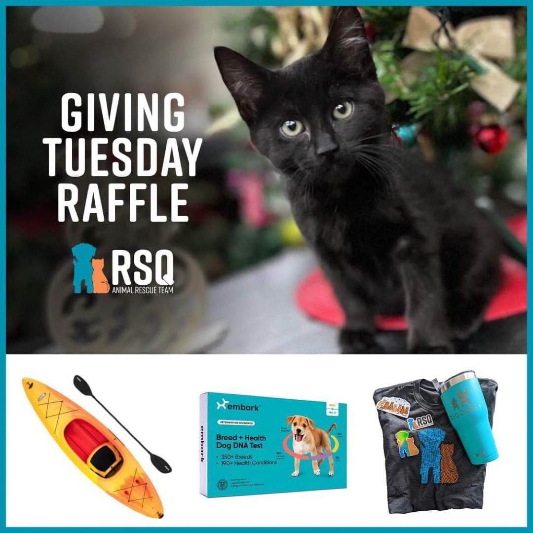 It’s raffle time!! 

This year for Giving Tuesday (Nov 30), we are asking for your support. 

RSQ saves hundreds of animals every year, many of which are severe medical cases. 

We love to do raffle drawings as a fun way to raise life saving funds while also giving YOU an opportunity to win BIG. 
If you are planning to donate this year for Giving Tuesday, please consider a tax deductible donation to RSQ! 

Raffle prizes and details 👇🏻

🐾🐾🐾🐾🐾🐾🐾🐾🐾

🎟️The Giving Tuesday Raffle🎟️

Buy tickets Nov 23 – Nov 30, winners announced Dec 1

Raffle Tickets are $5 each and you can choose which prize to enter for:

🛶 New Lifetime Charger 10 foot adult Kayak from the Lifetime store
($230 value, 1 winner) 

🧬 Embark doggy DNA and health testing kit
($200 value, 1 winner)

🧺 RSQ swag basket full of all kinds of RSQ gear
($100 value, 1 winner)

Our Giving Tuesday goal is $3000 this year! So please share to help us meet our goal, and thank you to all our amazing supporters who make it possible to save the cutest furry little lives. 

🐾🐾🐾🐾🐾🐾🐾

To purchase raffle tickets:
🔹Tickets are $5 each
🔹You can divide your tickets between prizes

Pay on:
🔸VENMO: @rsqutah
- Leave a note with your name, phone number, and which prize(s) your ticket(s) should go towards. 

🔸PAYPAL: https://bit.ly/rsqpaypal
- On Paypal you can pay with a credit card. No account is required.
- Send us an email at hello@rsqutah.org with your name, phone number, and which prize(s) your ticket(s) should go towards. 

🔸FACEBOOK FUNDRAISER
- Purchase tickets through the the fundraiser on Facebook
- Send us an email at hello@rsqutah.org with your name, phone number, and which prize(s) your ticket(s) should go towards. 

Remember, tickets are $5 each, and ➡️make sure you let us know which prize to put your tickets towards so your tickets can be entered. ⬅️

Buy tickets through November 30. We'll draw the winners on December 1. 

Happy raffling!

<a target='_blank' href='https://www.instagram.com/explore/tags/GivingTuesday/'>#GivingTuesday</a>
<a target='_blank' href='https://www.instagram.com/explore/tags/SupportRuralRescue/'>#SupportRuralRescue</a>