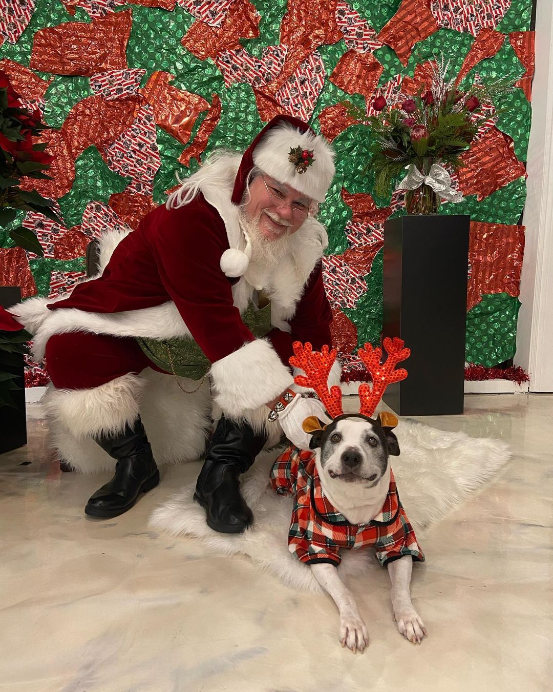 Don’t forget that today is our PITures with Santa event at On To The Next from 6-8! We can wait to see you all there! We will have complimentary hot chocolate and cookies along with merch for sale! Also, with you $10 donation to us for your picture, you’ll get 10% off your purchase at OTTN! How awesome is that! 

OTTN is located at 

304 N Adams St
Green Bay, WI 54301

<a target='_blank' href='https://www.instagram.com/explore/tags/applevalleypitcrew/'>#applevalleypitcrew</a>🐶🍎 <a target='_blank' href='https://www.instagram.com/explore/tags/AVPC/'>#AVPC</a> <a target='_blank' href='https://www.instagram.com/explore/tags/PitCrew/'>#PitCrew</a> <a target='_blank' href='https://www.instagram.com/explore/tags/pitbullsofinstagram/'>#pitbullsofinstagram</a> <a target='_blank' href='https://www.instagram.com/explore/tags/RescueandRedemption/'>#RescueandRedemption</a> <a target='_blank' href='https://www.instagram.com/explore/tags/adoptdontshop/'>#adoptdontshop</a> <a target='_blank' href='https://www.instagram.com/explore/tags/pitbullove/'>#pitbullove</a> <a target='_blank' href='https://www.instagram.com/explore/tags/pitbull/'>#pitbull</a> <a target='_blank' href='https://www.instagram.com/explore/tags/spreadtherumer/'>#spreadtherumer</a> <a target='_blank' href='https://www.instagram.com/explore/tags/rescueismyfavoritebreed/'>#rescueismyfavoritebreed</a> <a target='_blank' href='https://www.instagram.com/explore/tags/dontbullymybreed/'>#dontbullymybreed</a> <a target='_blank' href='https://www.instagram.com/explore/tags/thecrew/'>#thecrew</a>