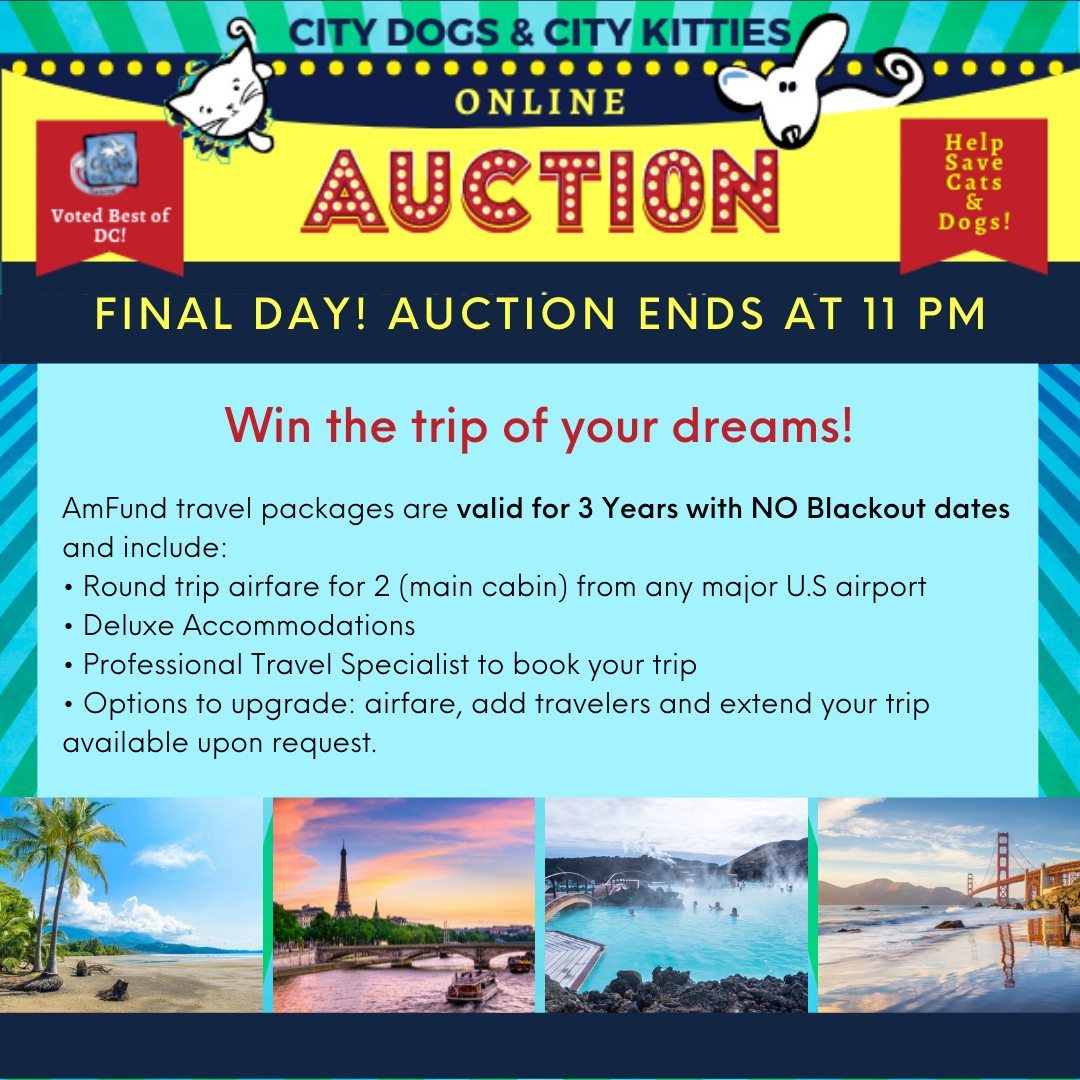 LAST DAY! Online charity <a target='_blank' href='https://www.instagram.com/explore/tags/auction/'>#auction</a> closes at 11 PM tonight. Reduced prices. Get those bids in!! https://www.32auctions.com/cdck2021

<a target='_blank' href='https://www.instagram.com/explore/tags/dogs/'>#dogs</a> <a target='_blank' href='https://www.instagram.com/explore/tags/cats/'>#cats</a> <a target='_blank' href='https://www.instagram.com/explore/tags/travel/'>#travel</a> <a target='_blank' href='https://www.instagram.com/explore/tags/costarica/'>#costarica</a> <a target='_blank' href='https://www.instagram.com/explore/tags/iceland/'>#iceland</a> <a target='_blank' href='https://www.instagram.com/explore/tags/sanfrancisco/'>#sanfrancisco</a> <a target='_blank' href='https://www.instagram.com/explore/tags/napavalley/'>#napavalley</a> <a target='_blank' href='https://www.instagram.com/explore/tags/loirevalley/'>#loirevalley</a> <a target='_blank' href='https://www.instagram.com/explore/tags/france/'>#france</a> <a target='_blank' href='https://www.instagram.com/explore/tags/winetrain/'>#winetrain</a> <a target='_blank' href='https://www.instagram.com/explore/tags/tropical/'>#tropical</a> <a target='_blank' href='https://www.instagram.com/explore/tags/winelover/'>#winelover</a> <a target='_blank' href='https://www.instagram.com/explore/tags/paris/'>#paris</a>